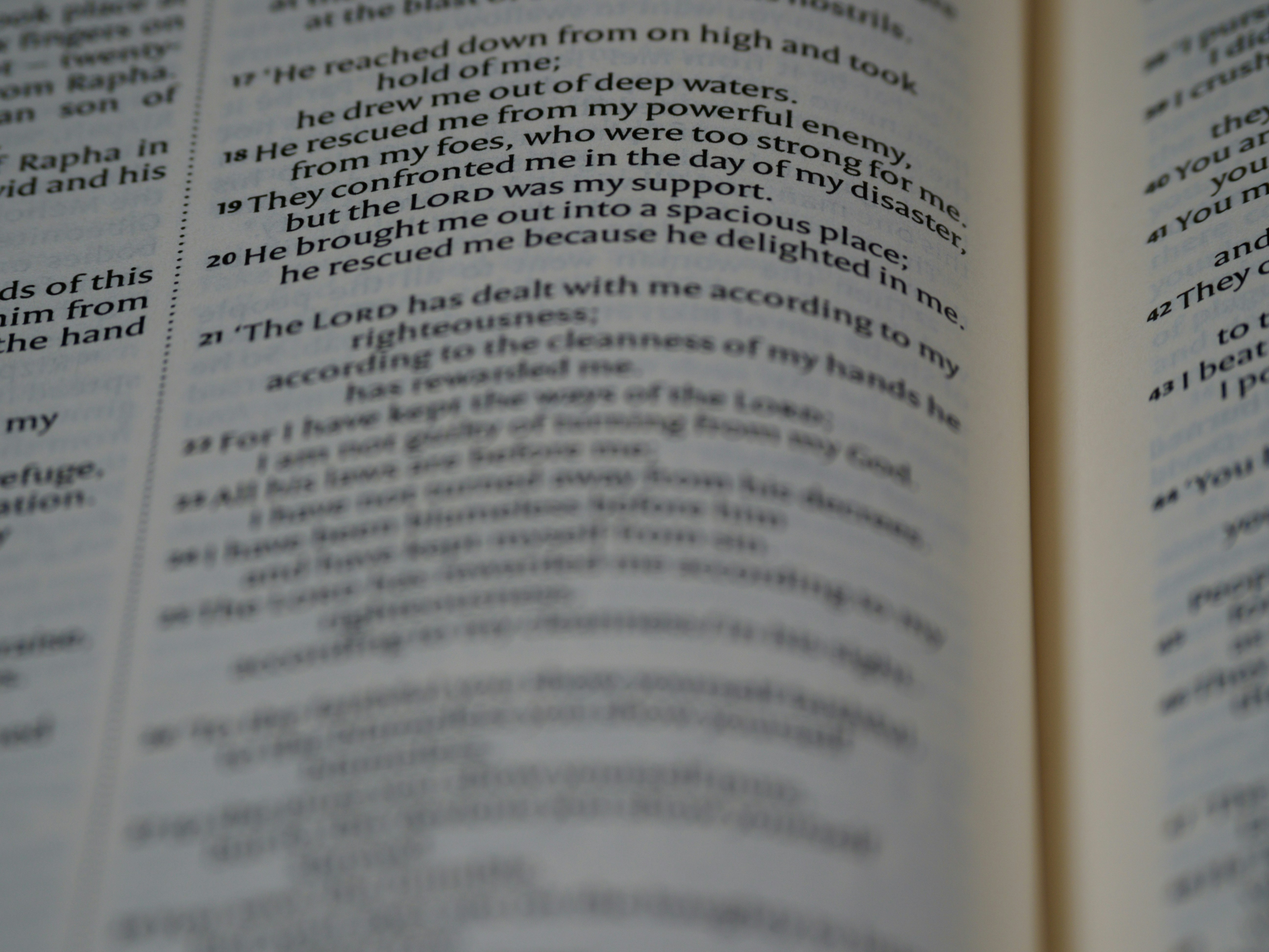 Photo by brett_jordan