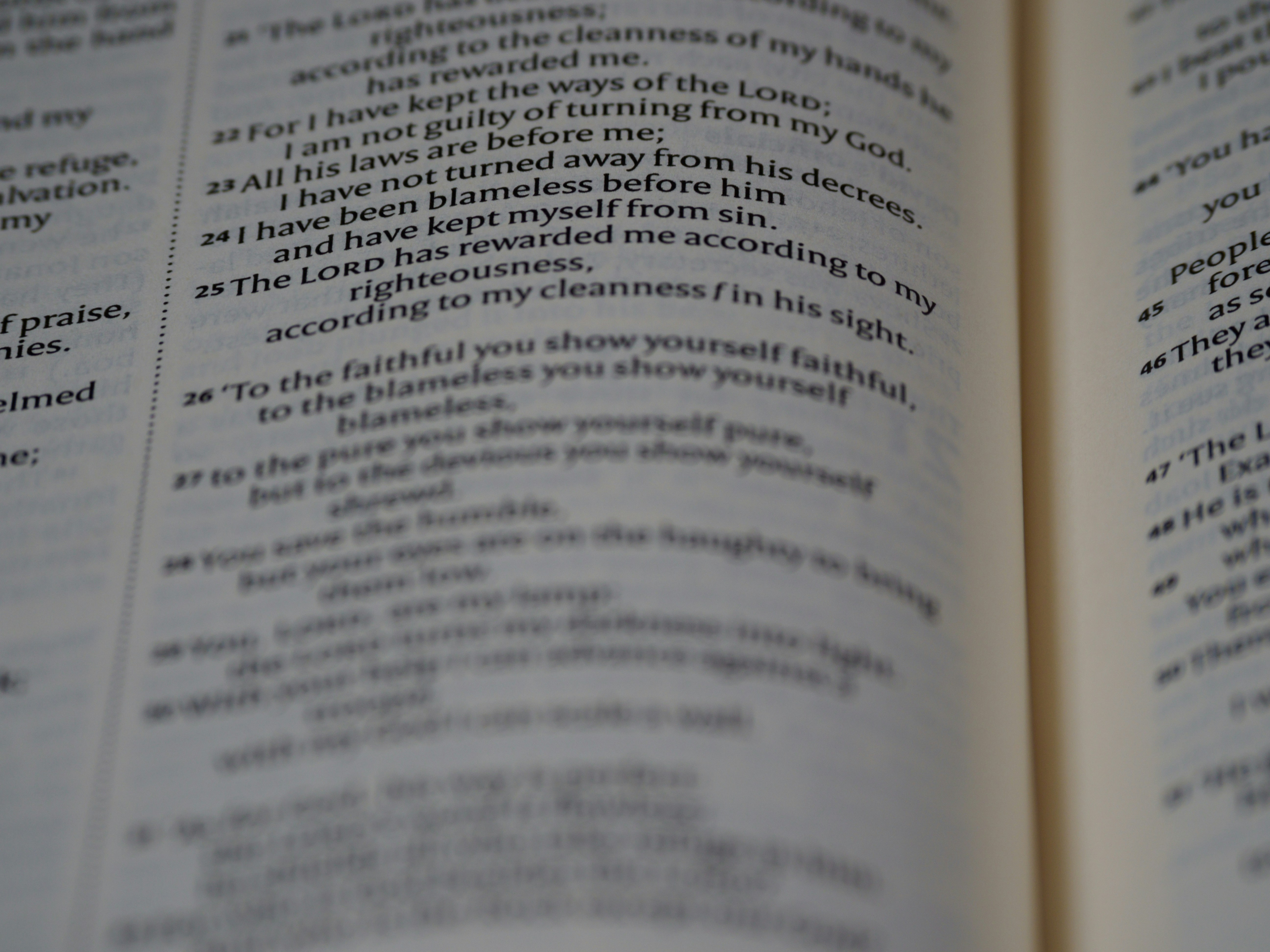 Photo by brett_jordan