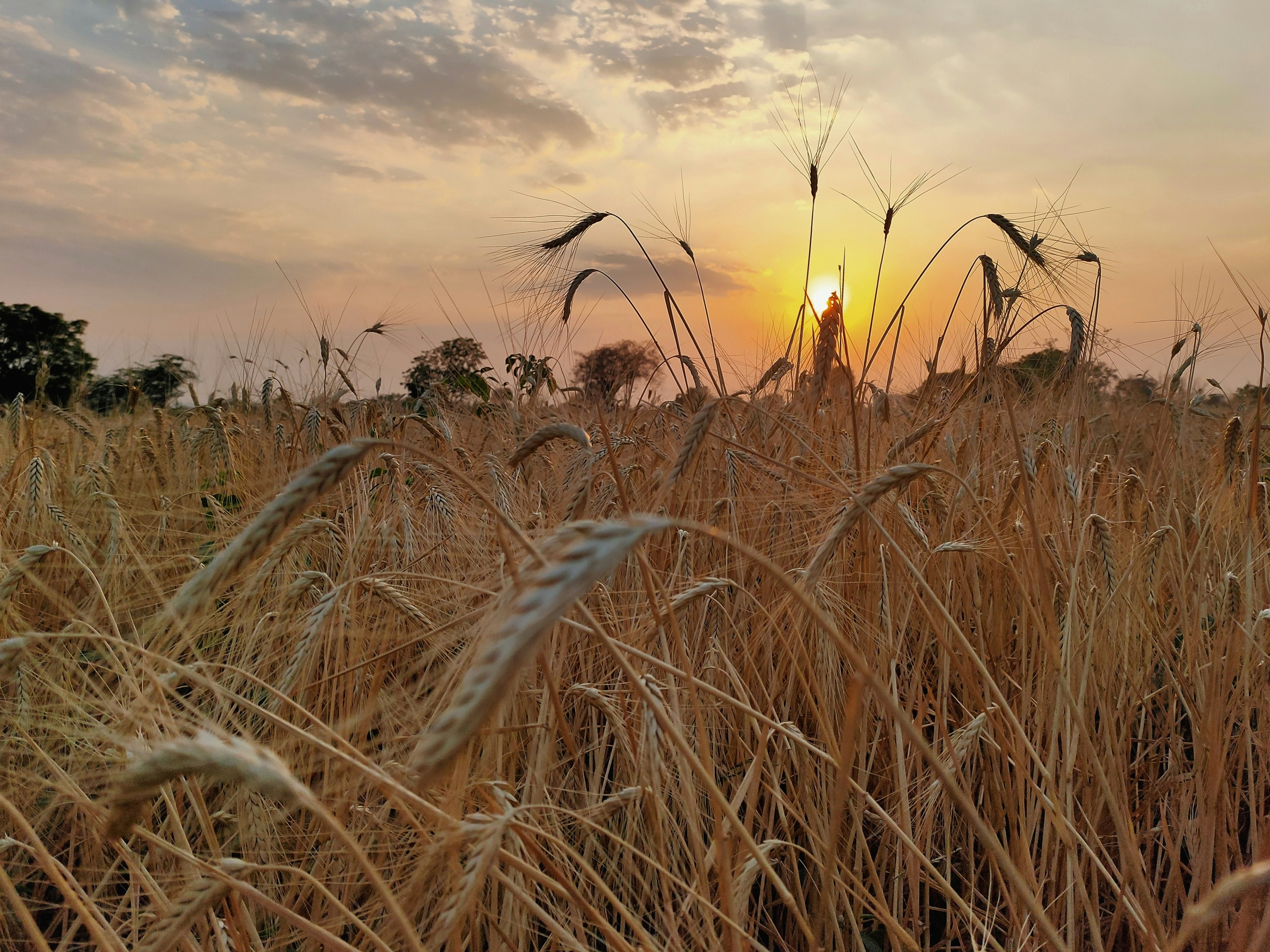 Photo by sudhanshurasal