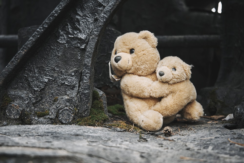 brown bear plush toy on black metal bridge