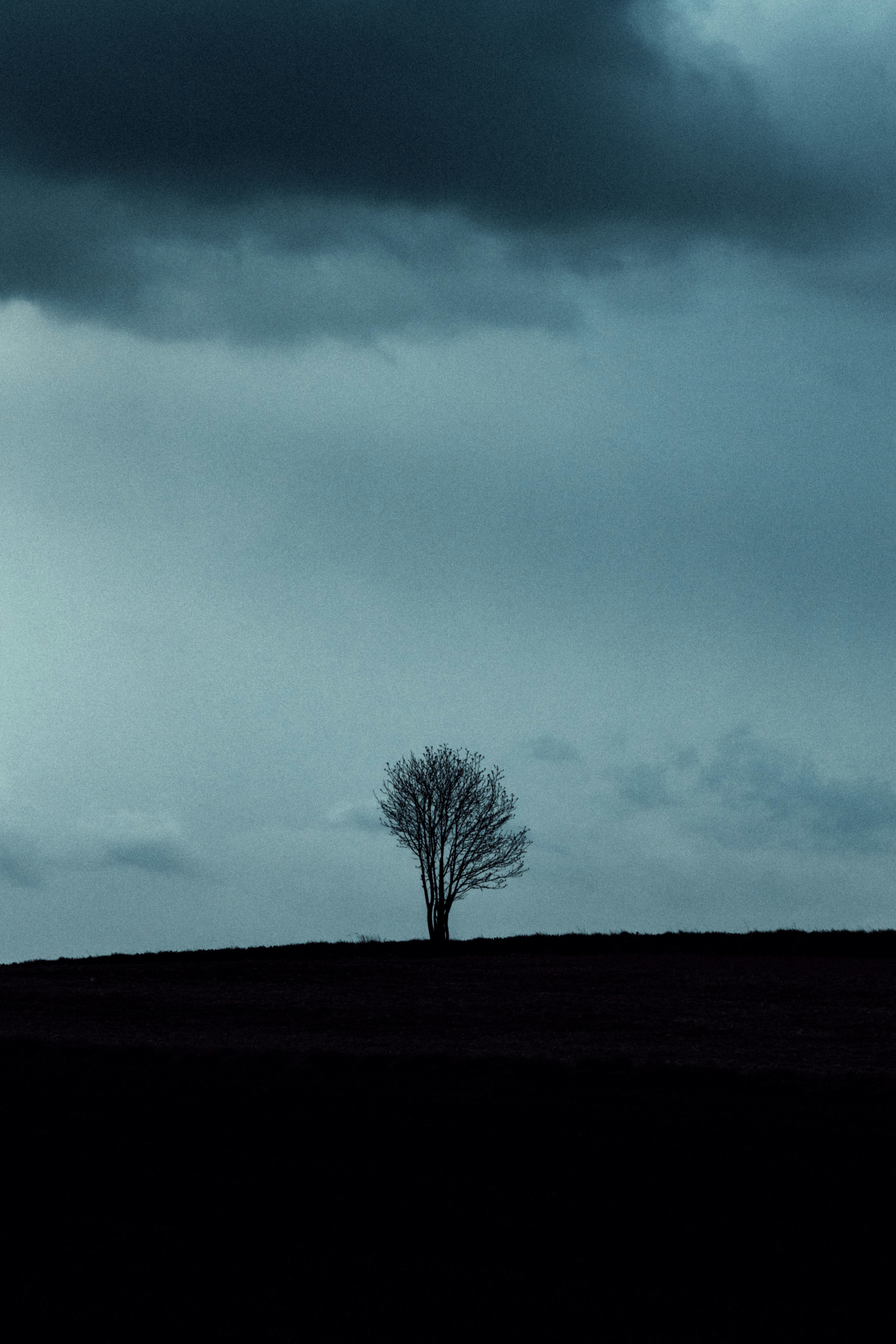 Mythes et réalités à