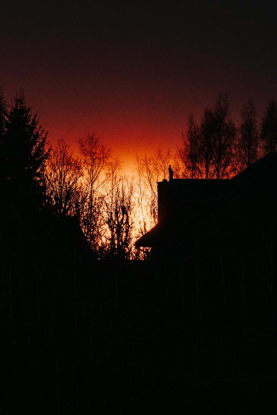 silhouette of house and trees during sunset