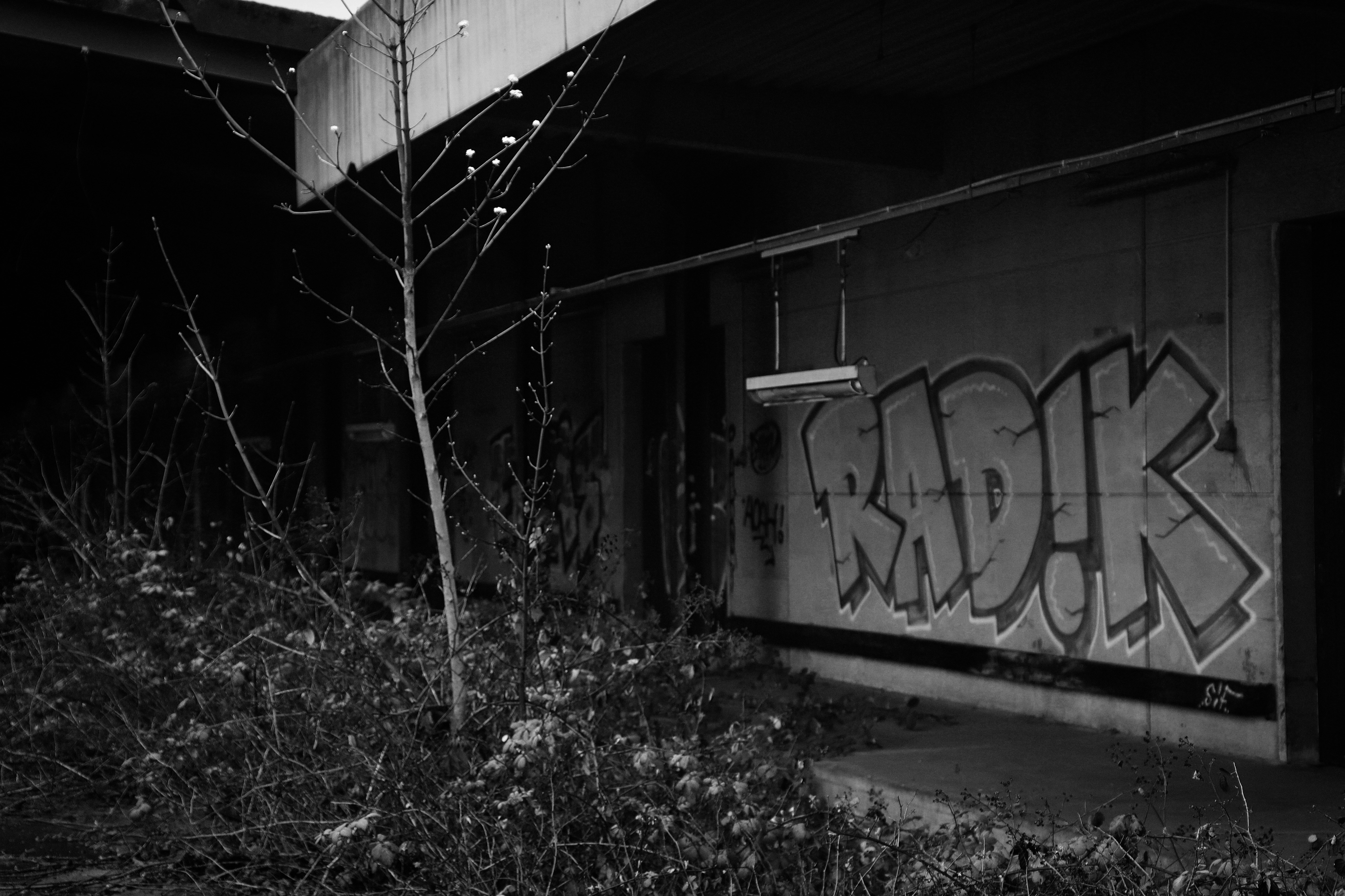 Photo by chikaufmann