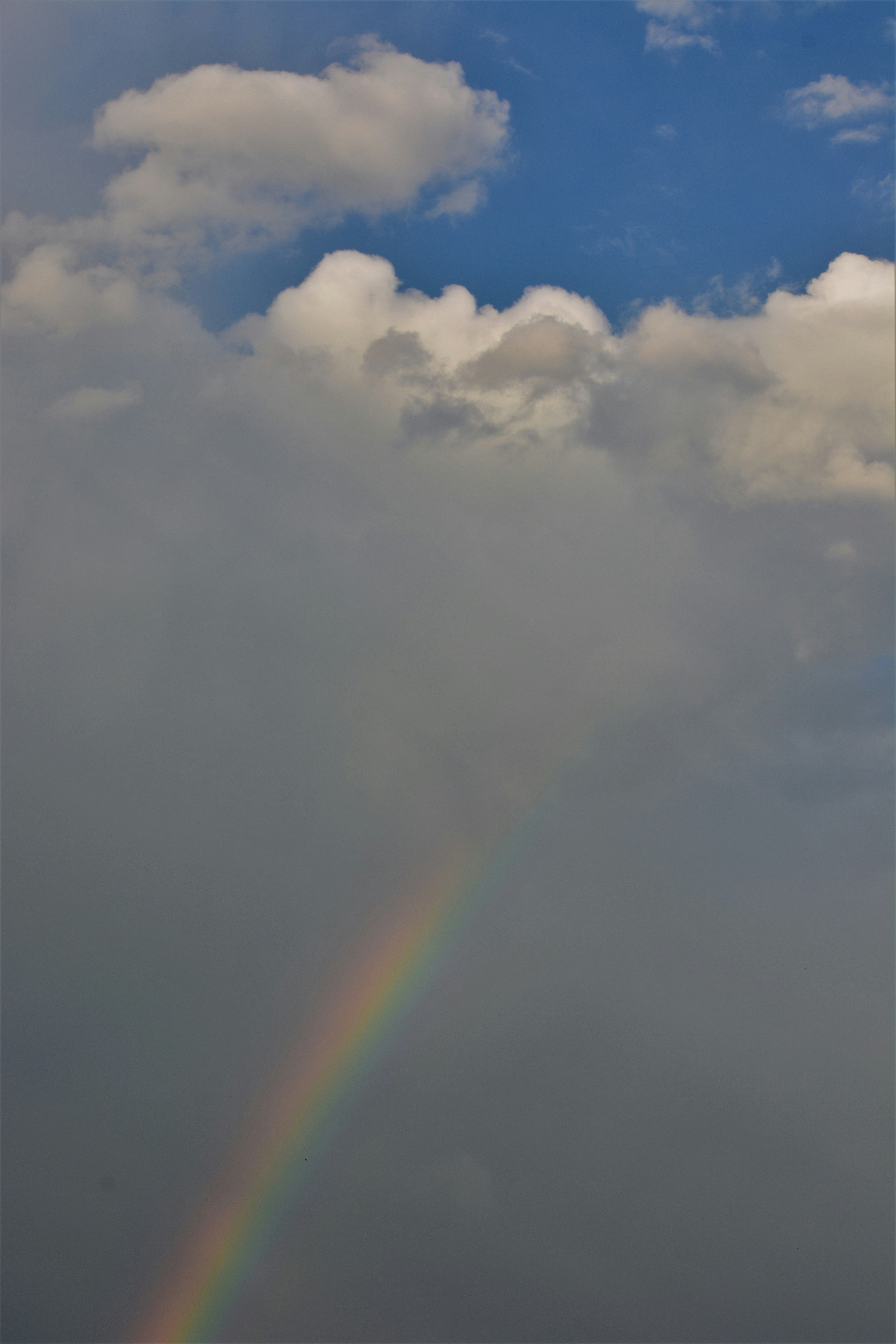 Photo by pedrino5_official