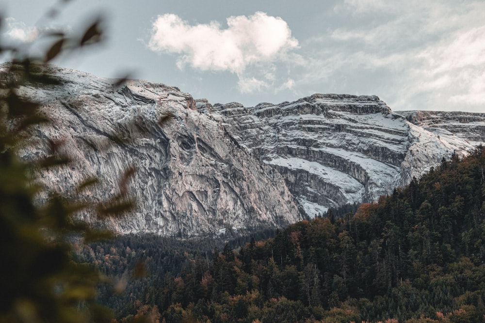 green trees on mountain under white clouds during daytime