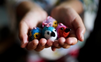 Hands gently holding a few small, colorful plush bird toys. Each bird has a unique color pattern, including blue, green, red, and pink, and appears to be carefully crafted.