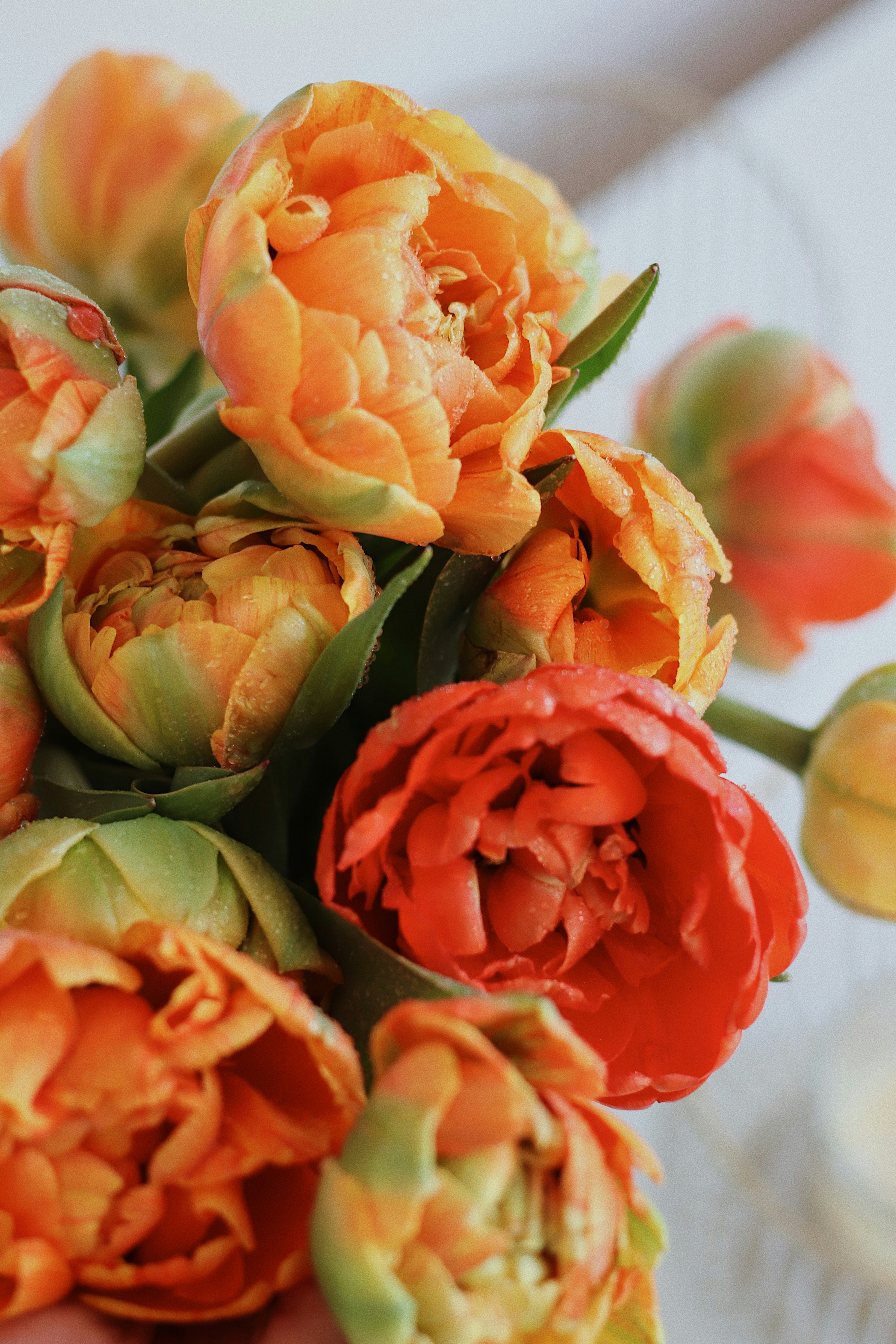 Photo by nesslovetim