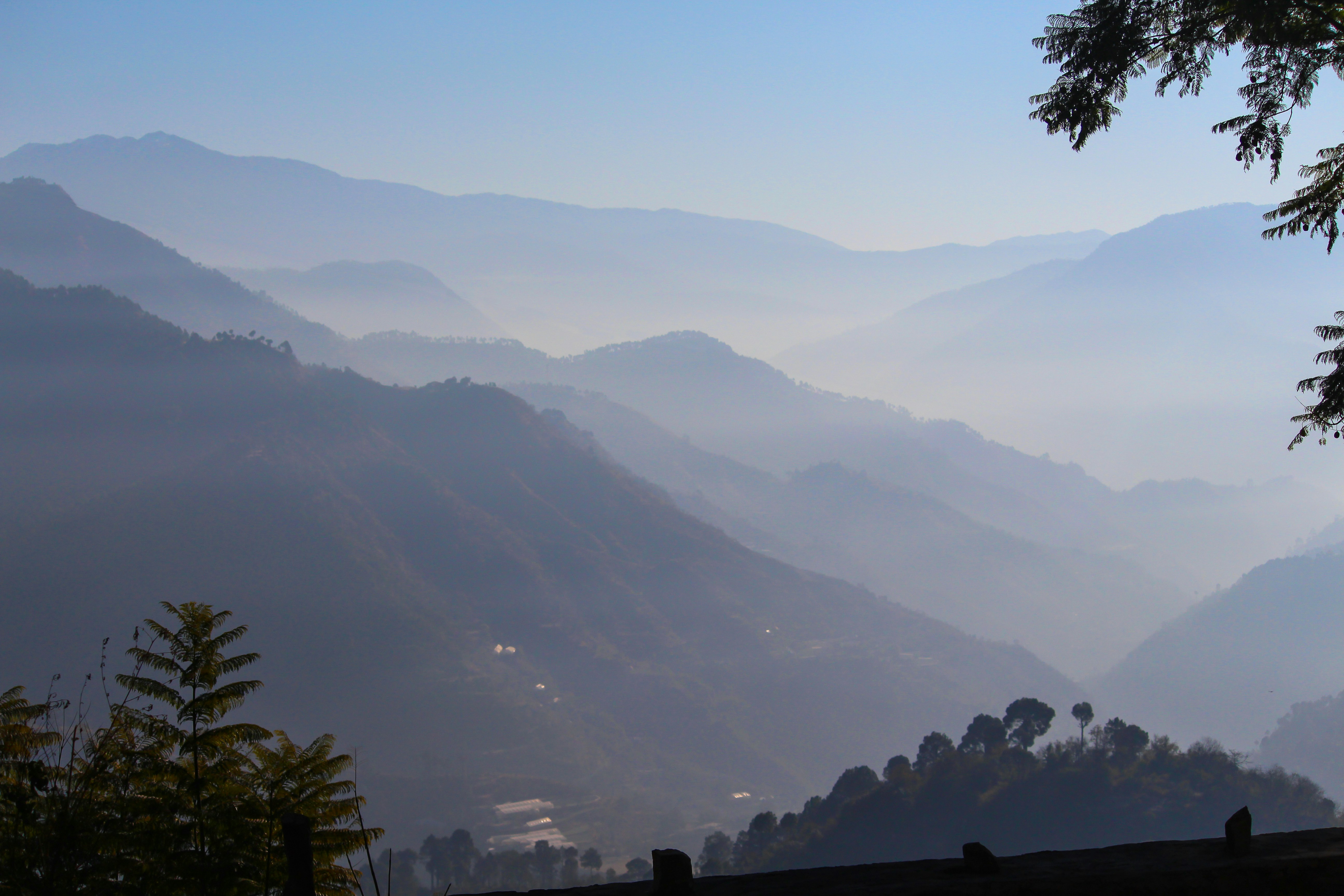 Photo by ankur_dutta