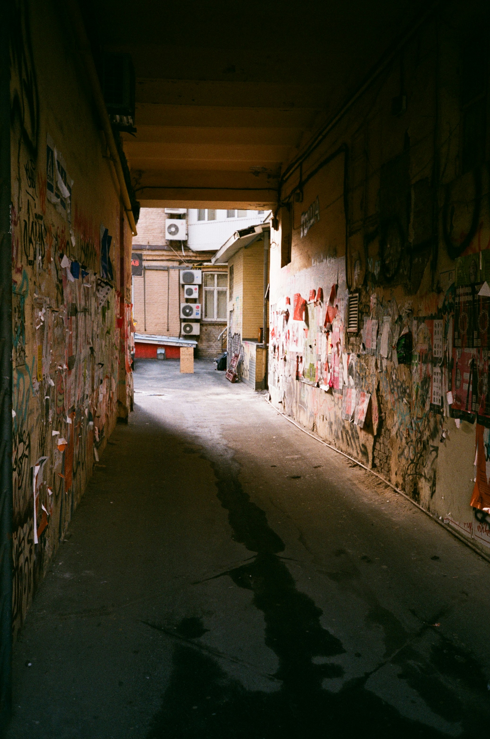 Photo by zhashkevych