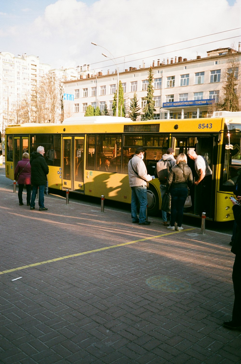 people standing beside yellow bus during daytime