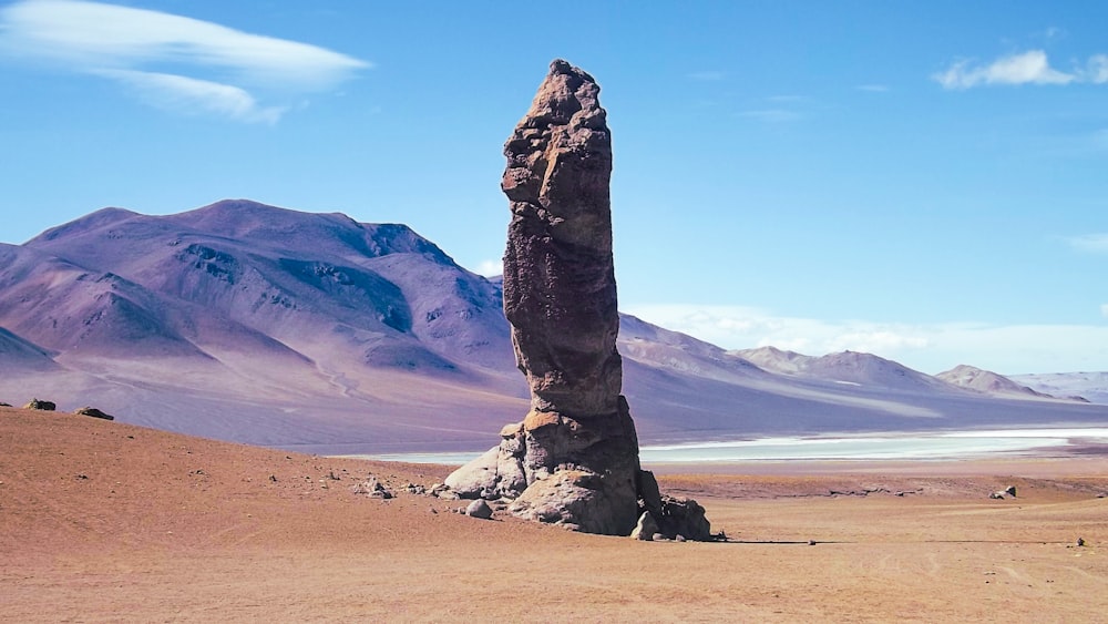 brown rock formation on brown sand during daytime