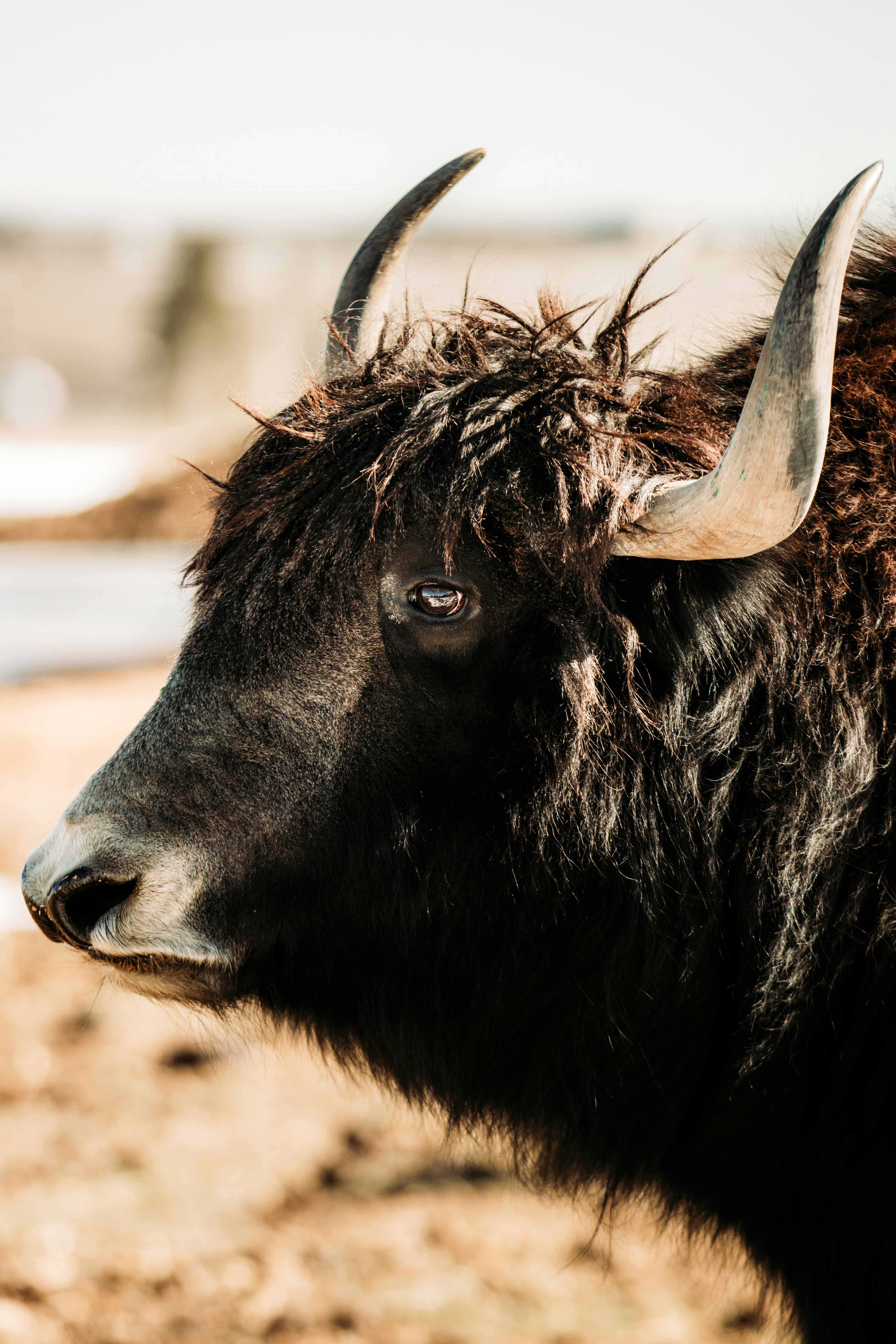 Photo by jakobnoahrosen