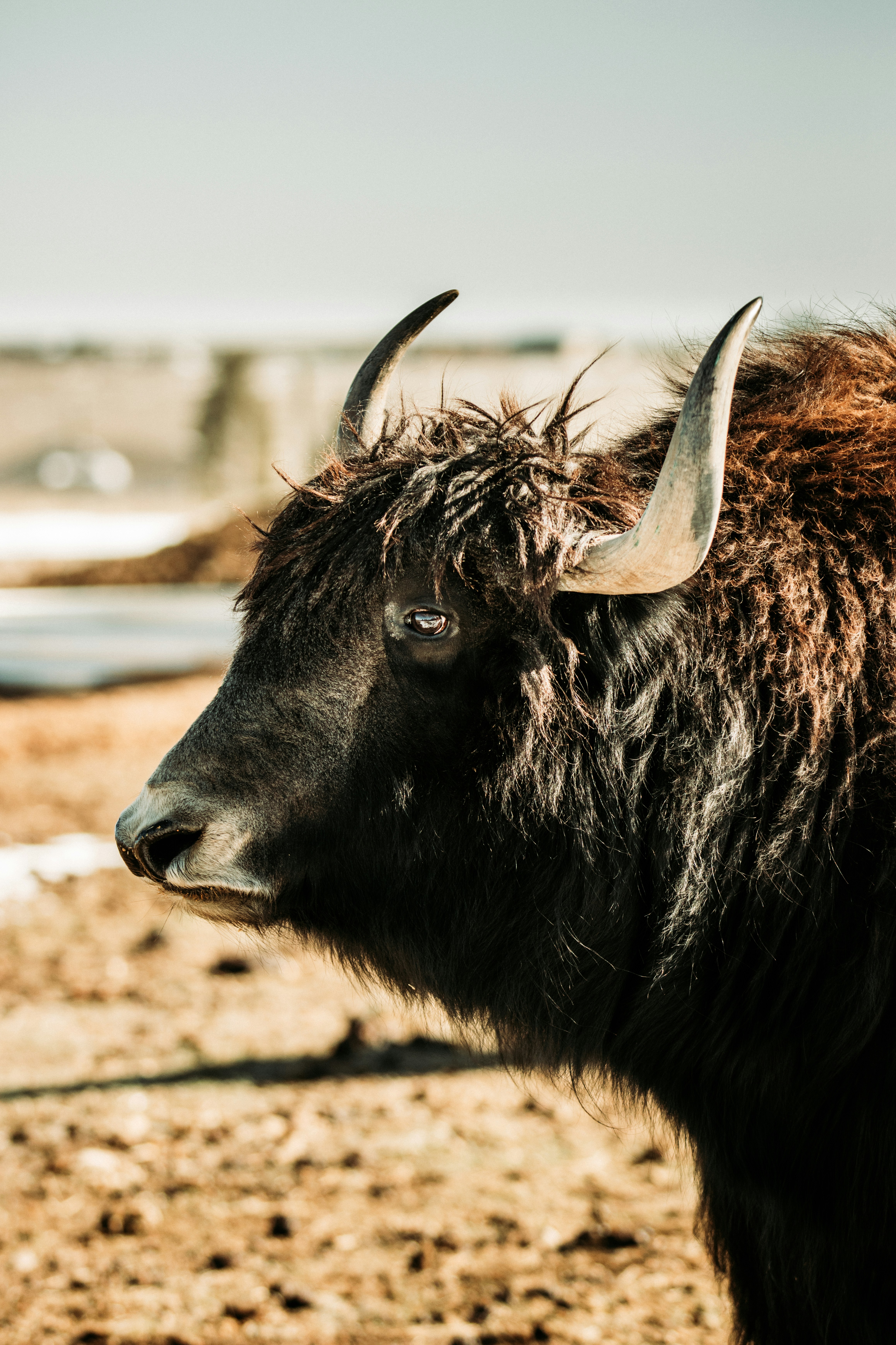 Photo by jakobnoahrosen