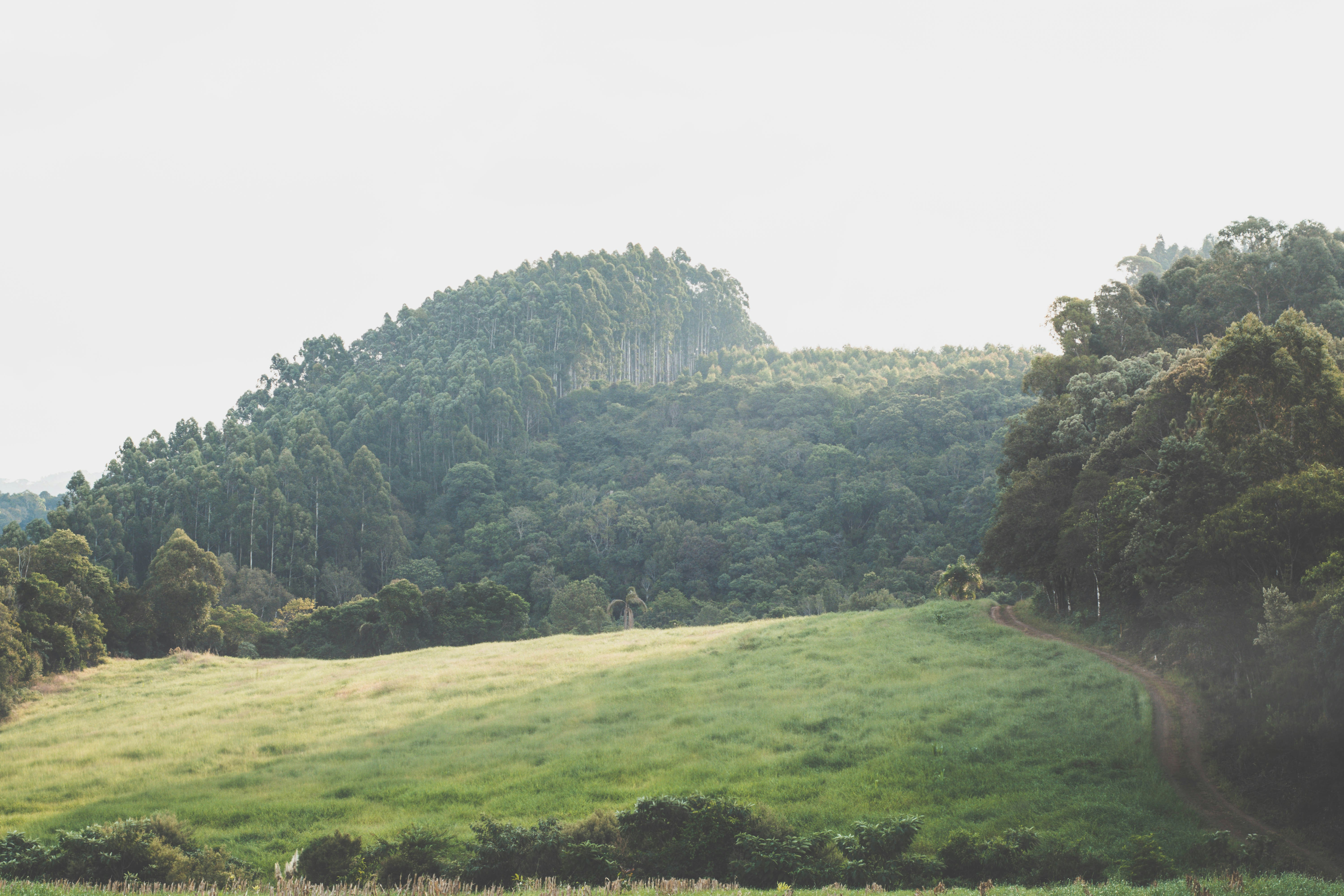 Photo by lucasgwendt