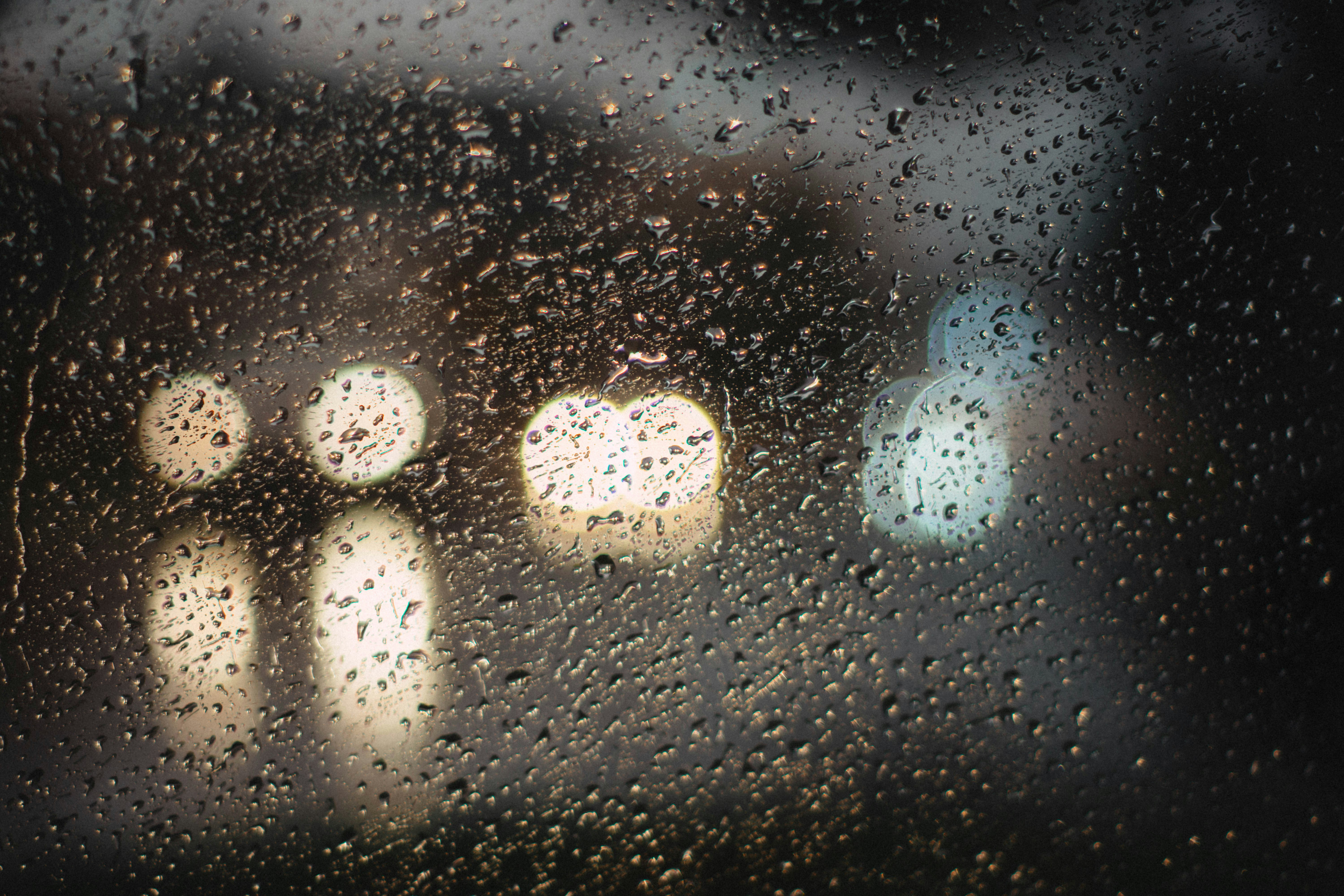 Photo by lucasgwendt