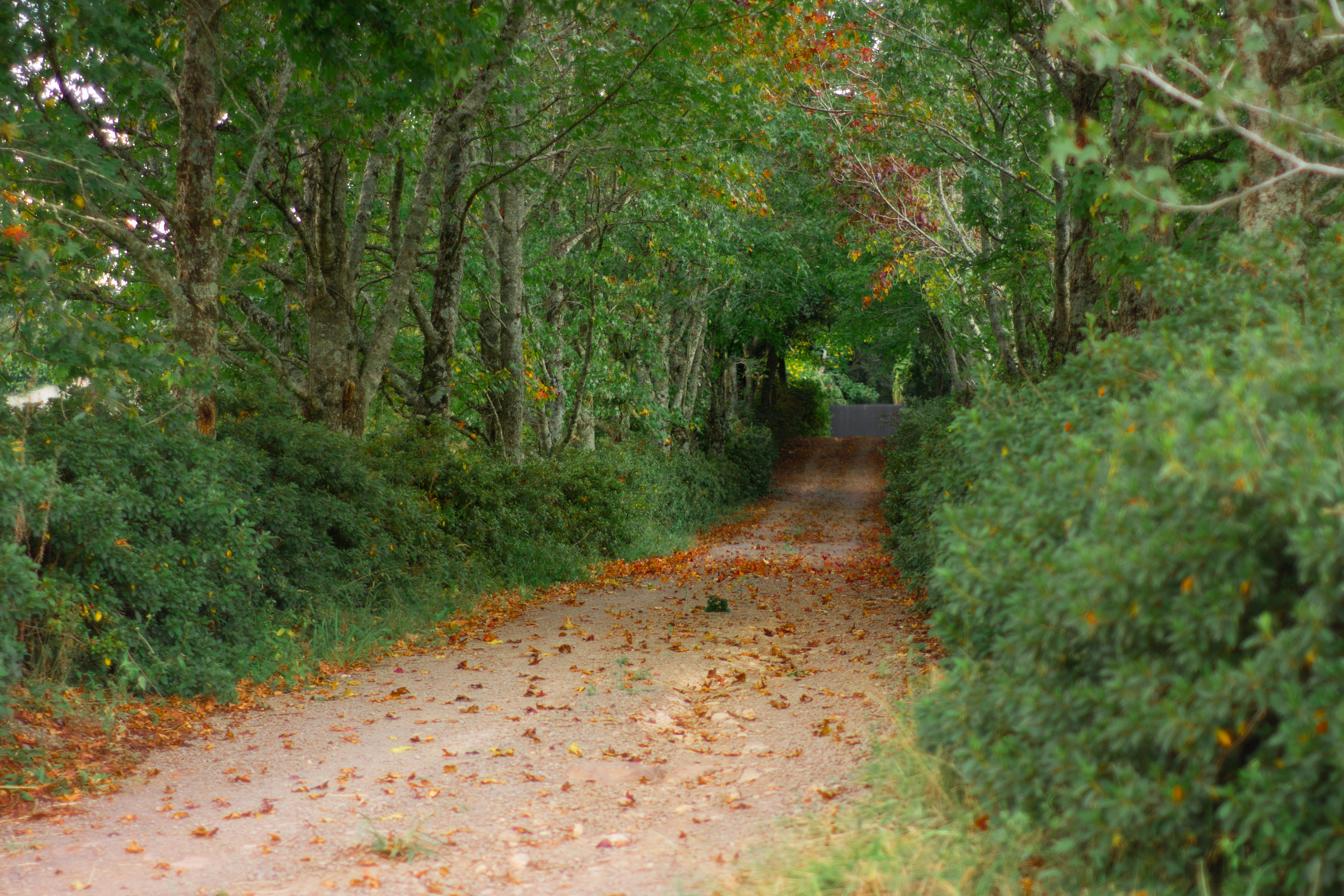 Photo by lucasgwendt