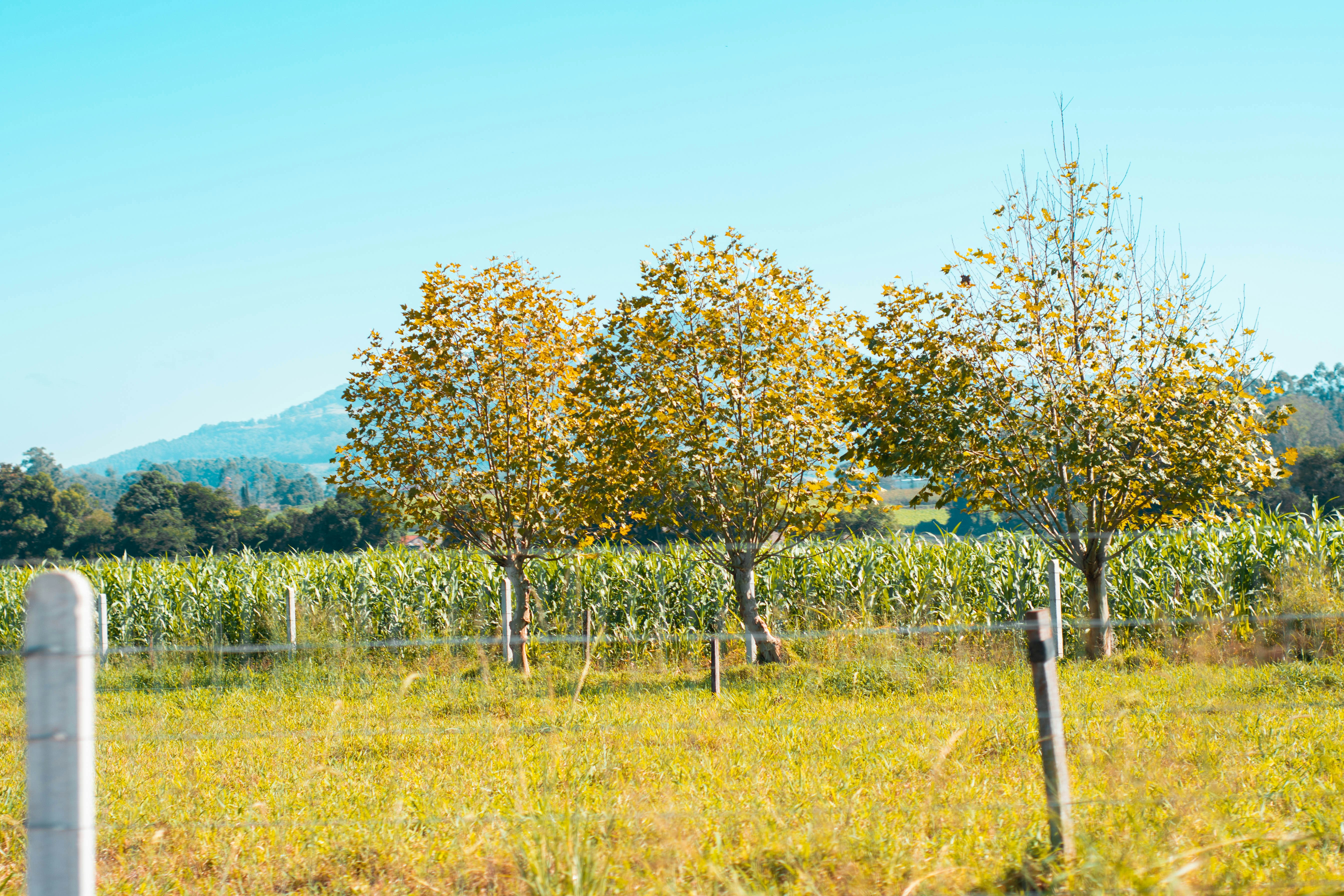 Photo by lucasgwendt