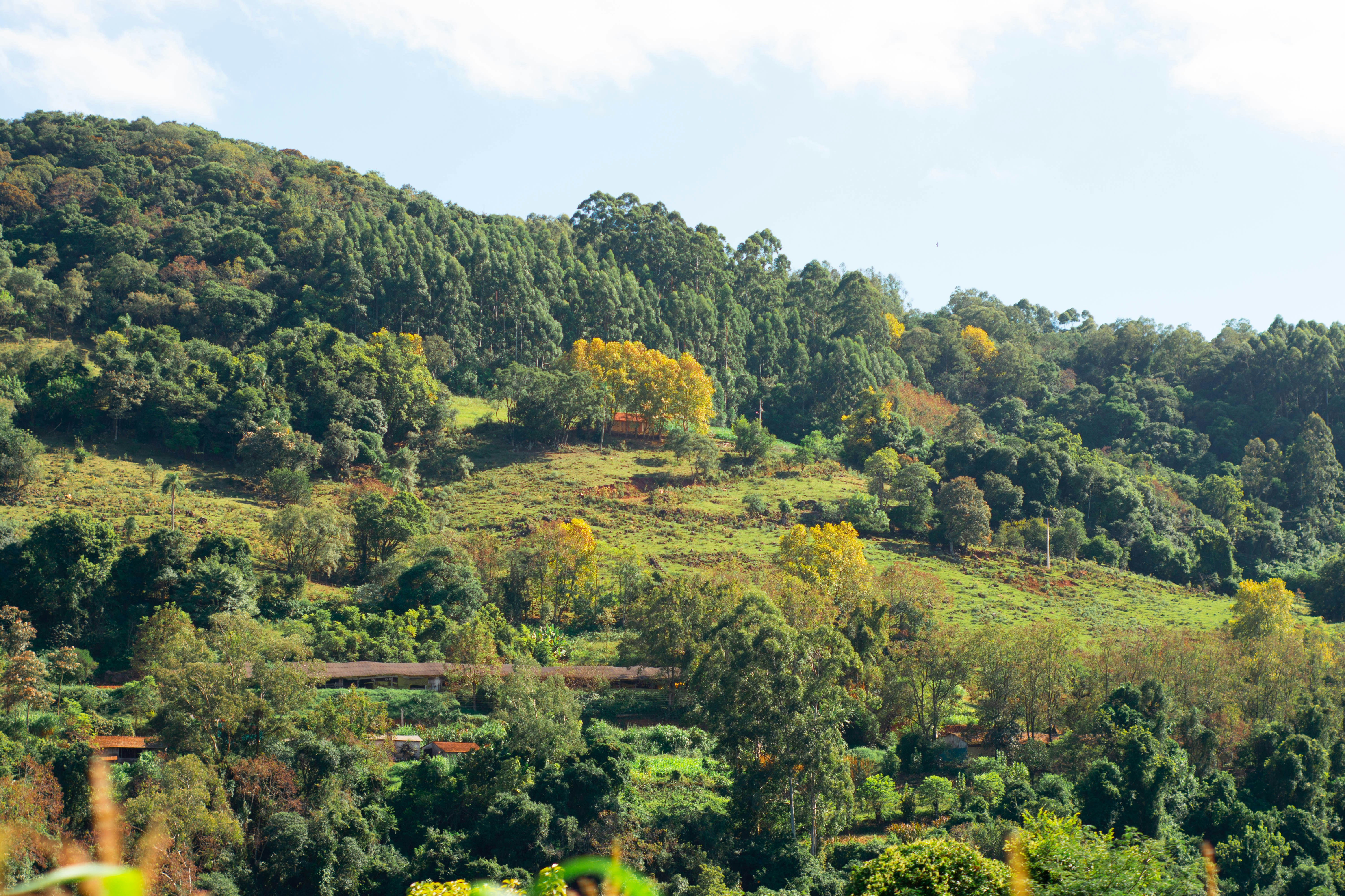 Photo by lucasgwendt