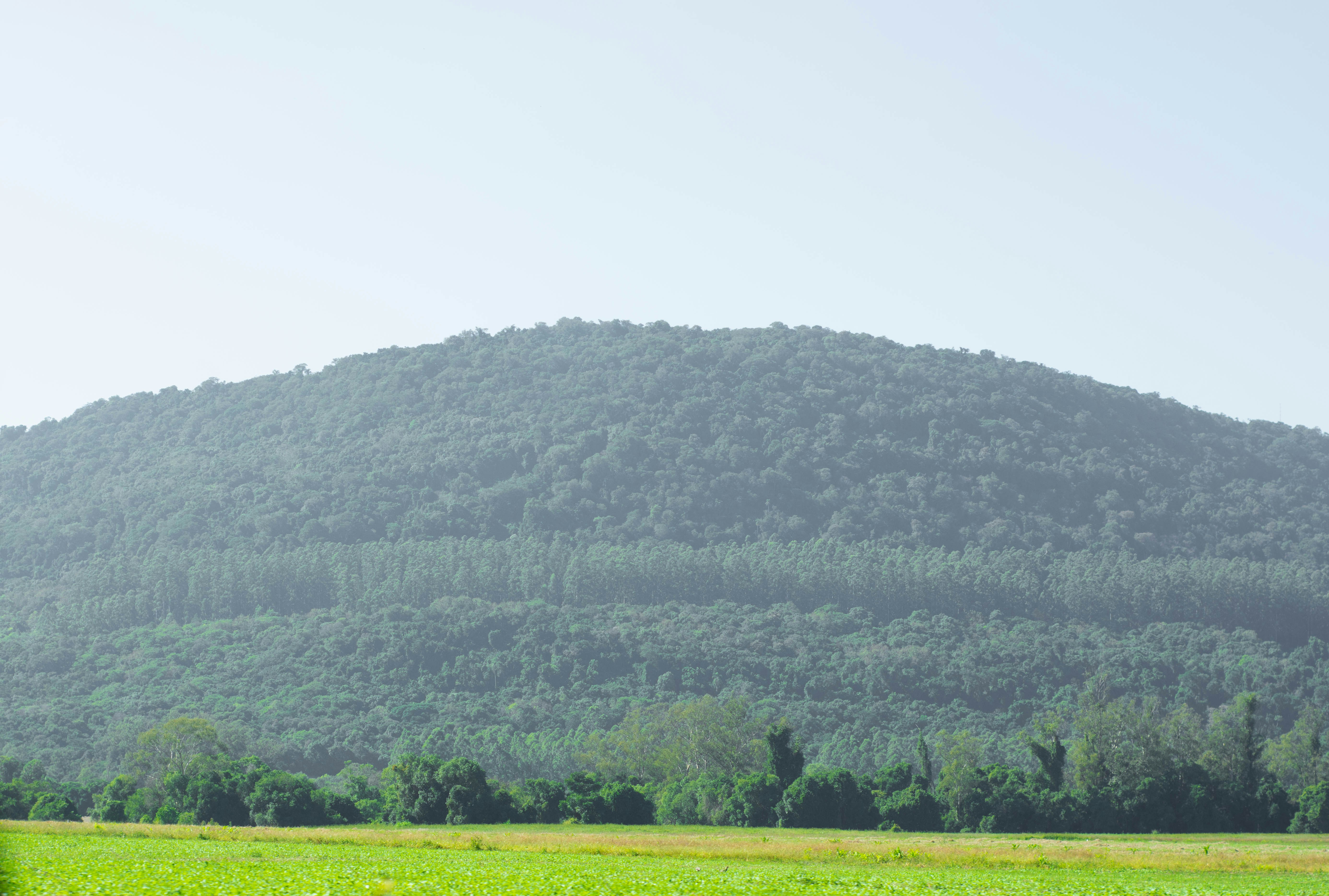 Photo by lucasgwendt