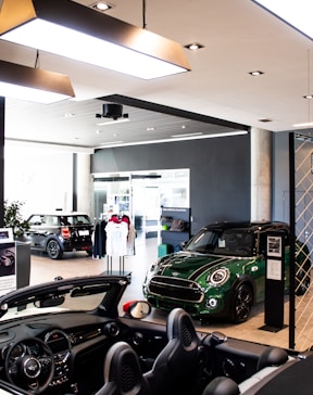 green and black car in a garage