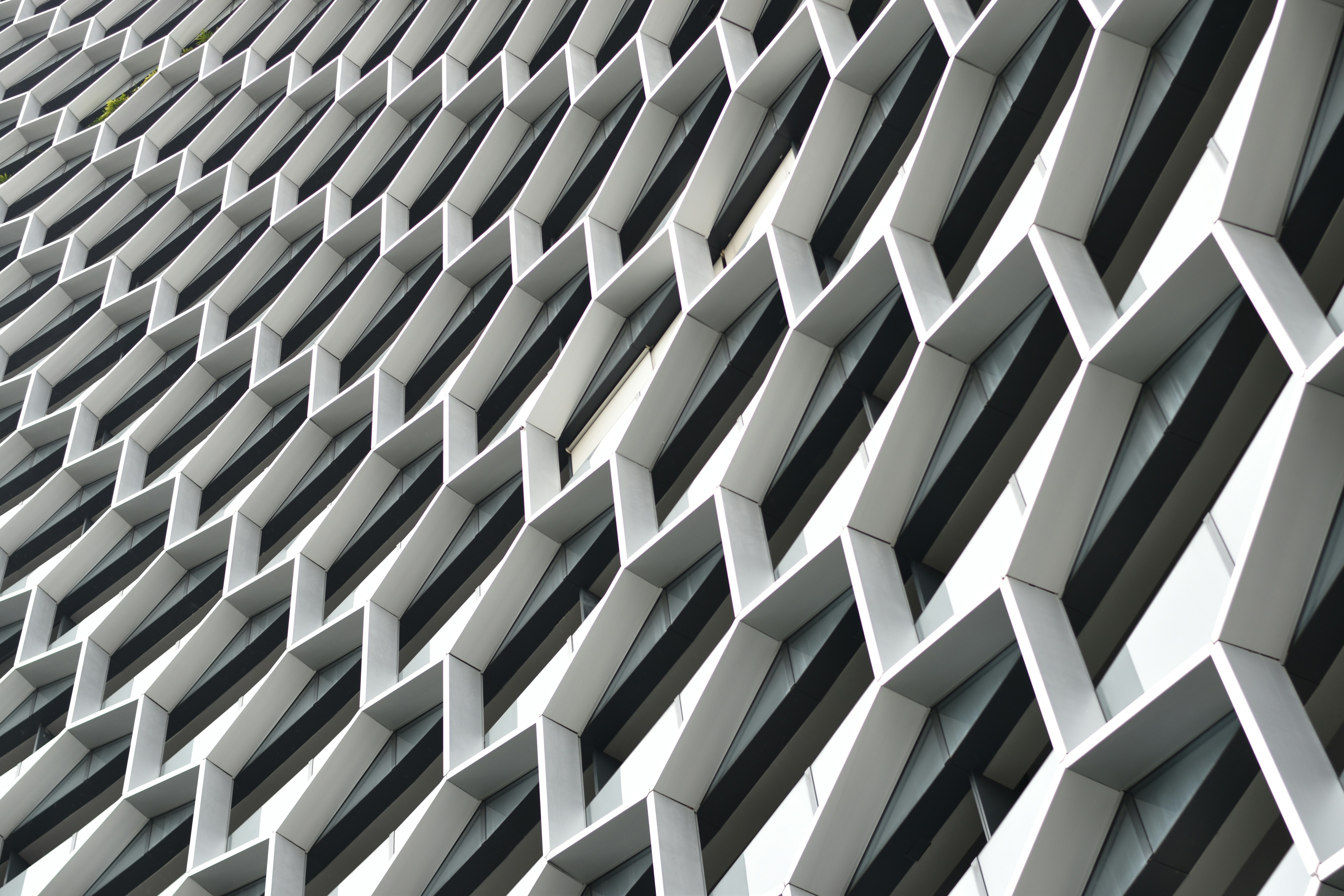 Photo by theregularjo_photos