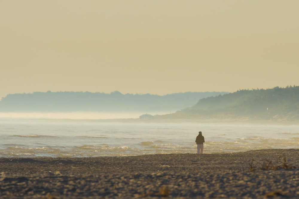 person standing on beach shore during daytime