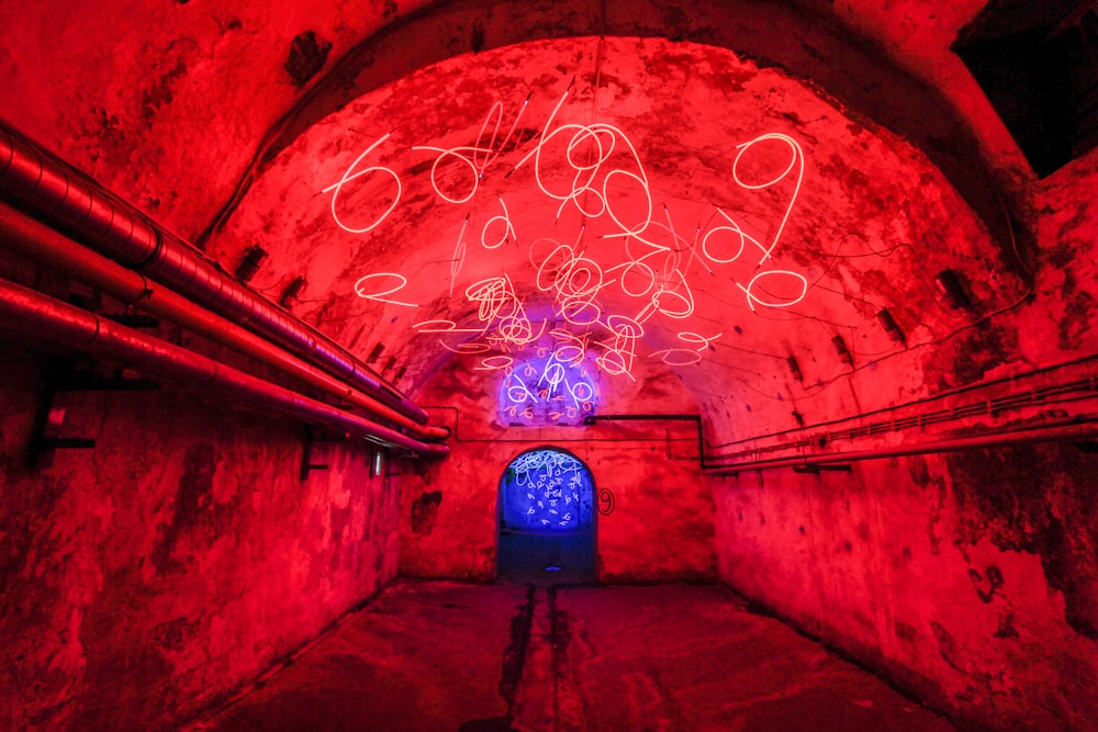 person in blue jacket standing on tunnel