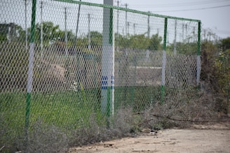 A neat row of chain link fence posts being installed with the tractor’s help