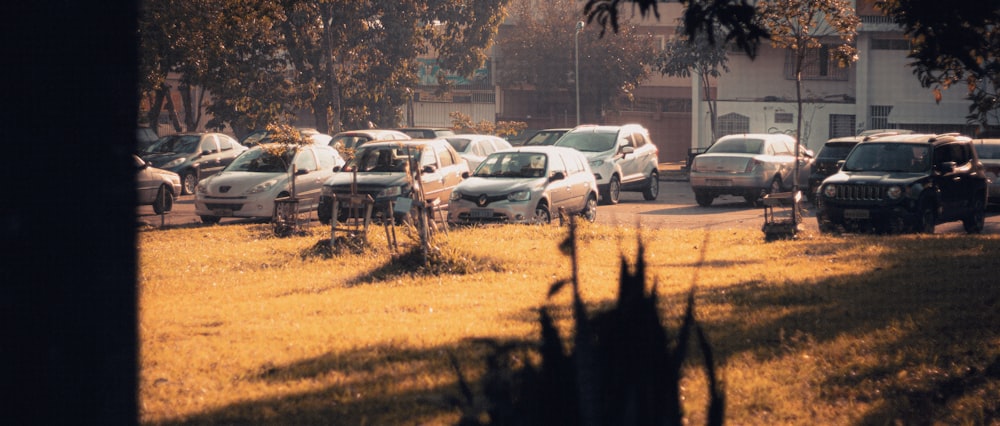 cars parked on parking lot during daytime