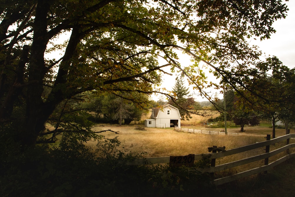 white wooden house surrounded by green trees during daytime