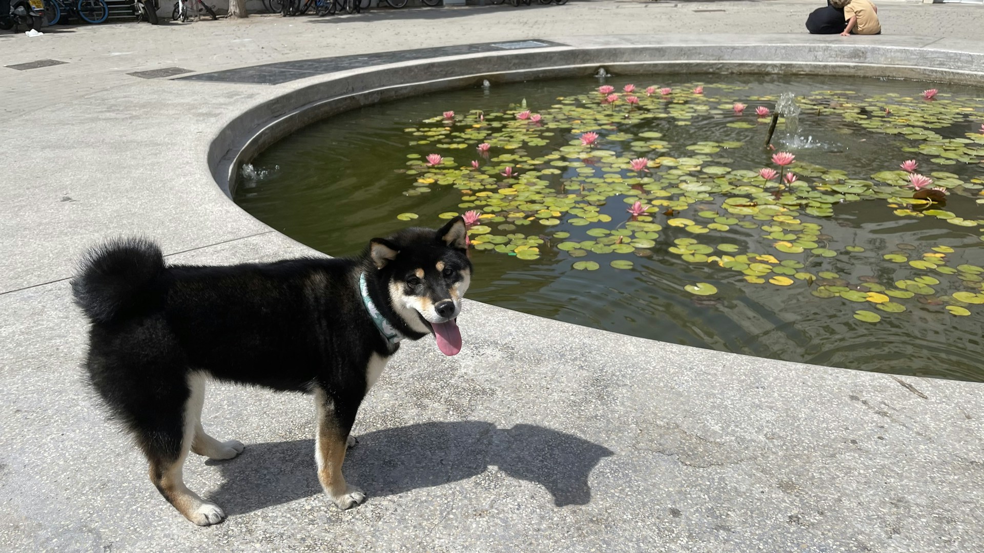 gray computer monitor