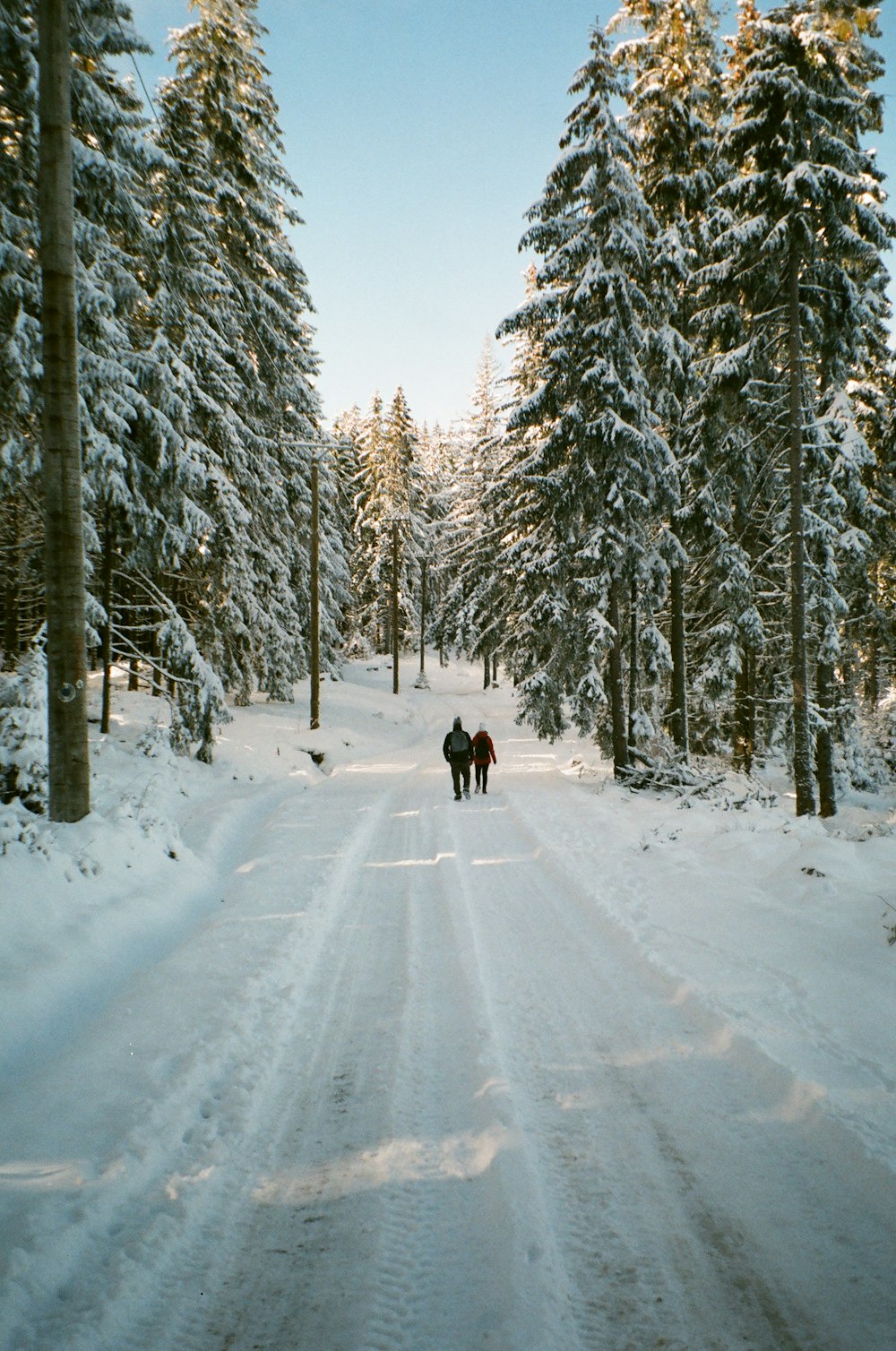 person in black jacket walking on snow covered pathway between trees during daytime