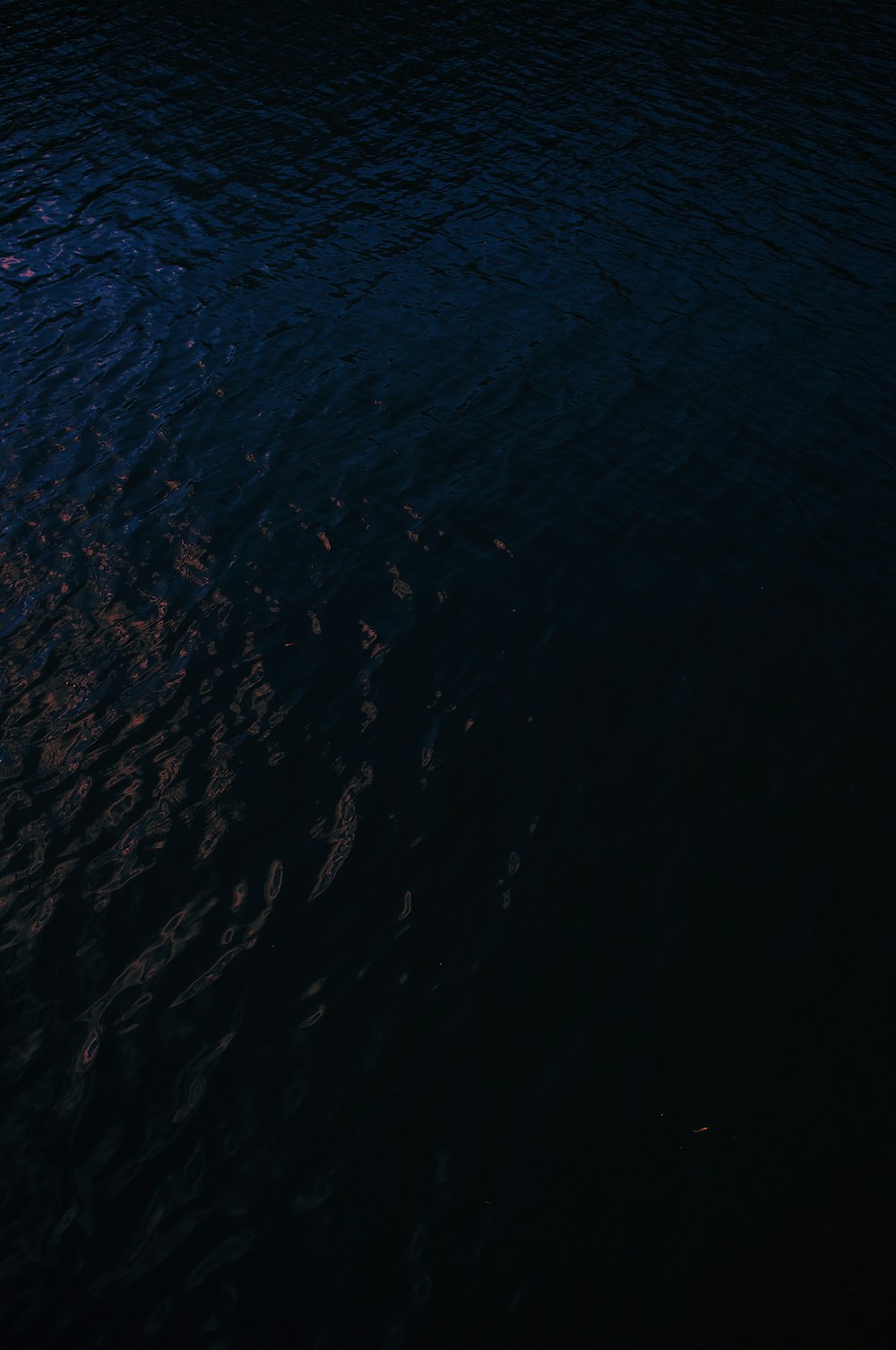 aerial view of body of water during daytime