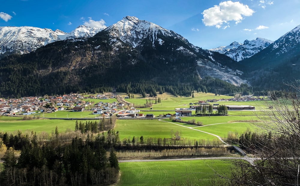 Grünes Grasfeld in Bergnähe unter blauem Himmel tagsüber