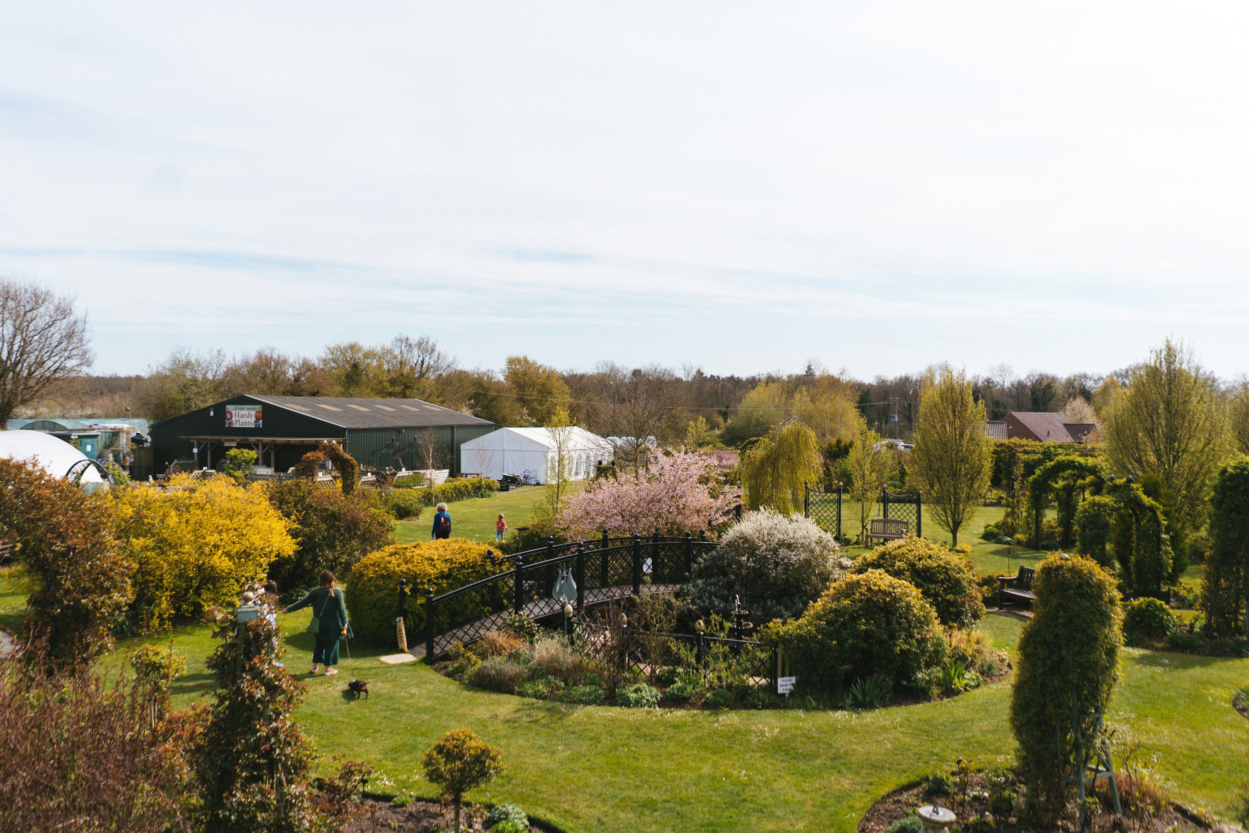 green grass field with trees and houses
