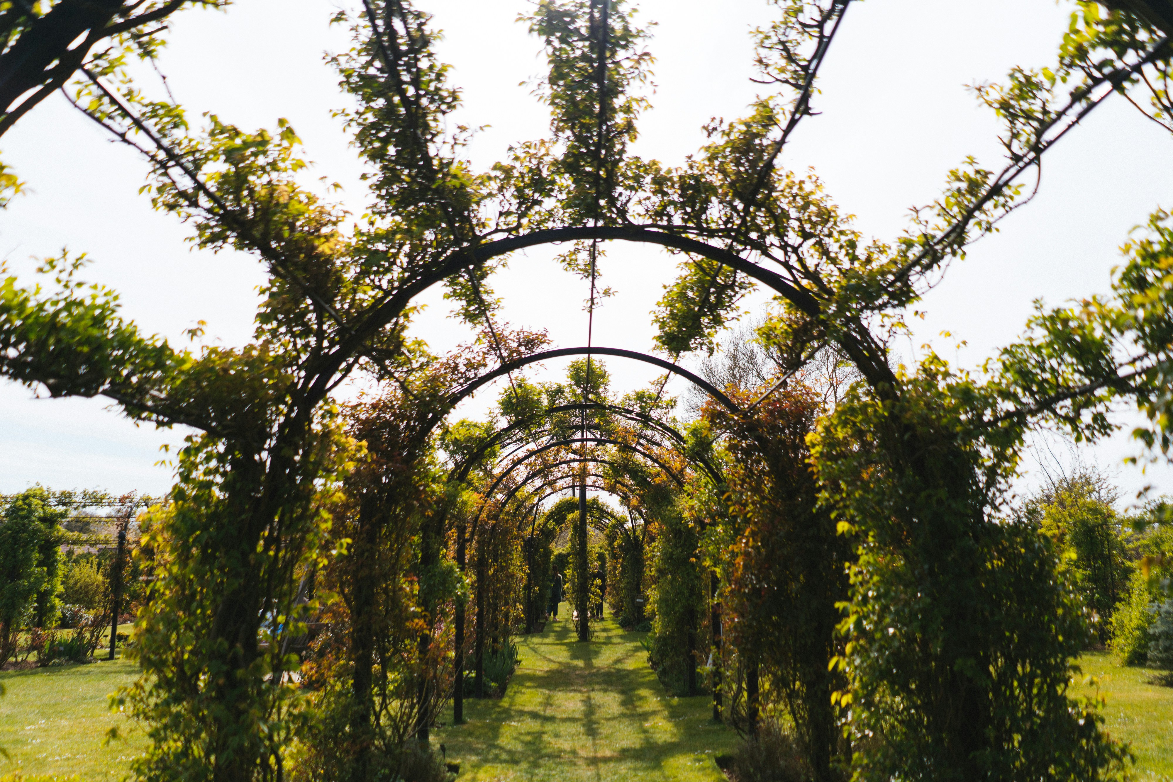 Photo by philhearing