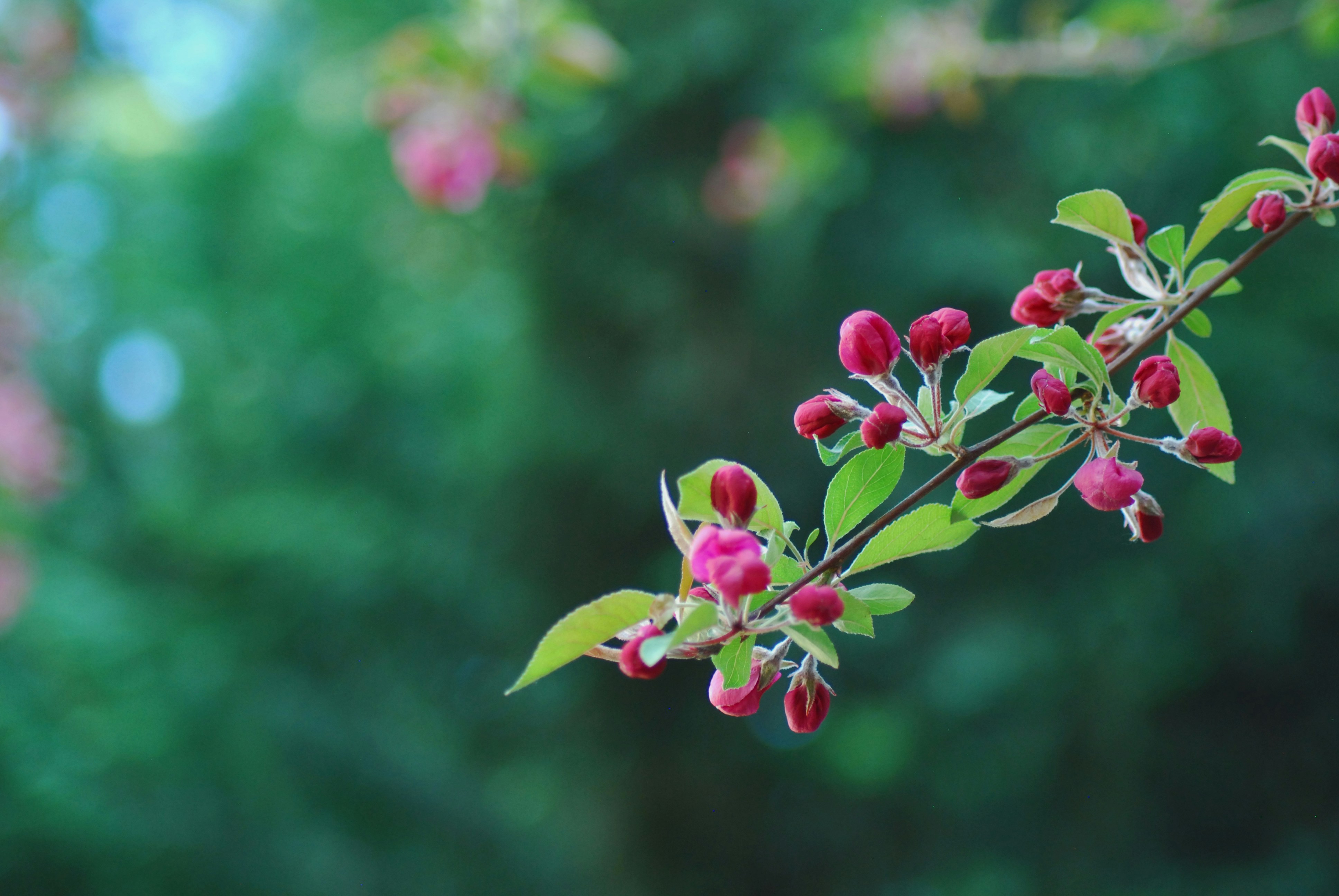 Photo by origamiaround