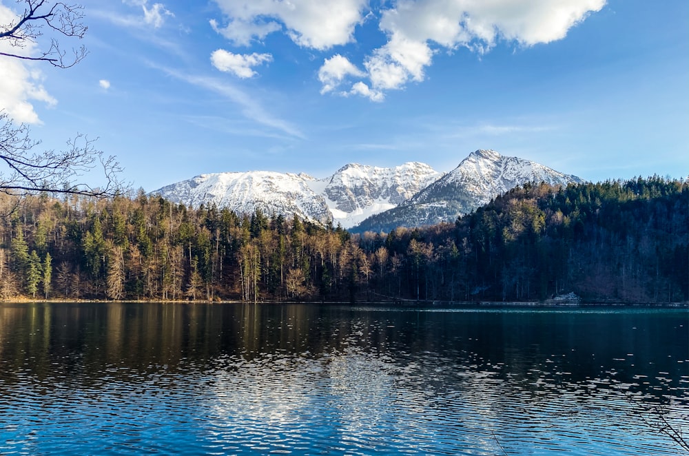 lago cercado por árvores e montanhas sob o céu azul durante o dia