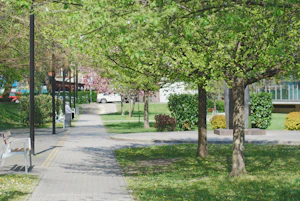 Szeged