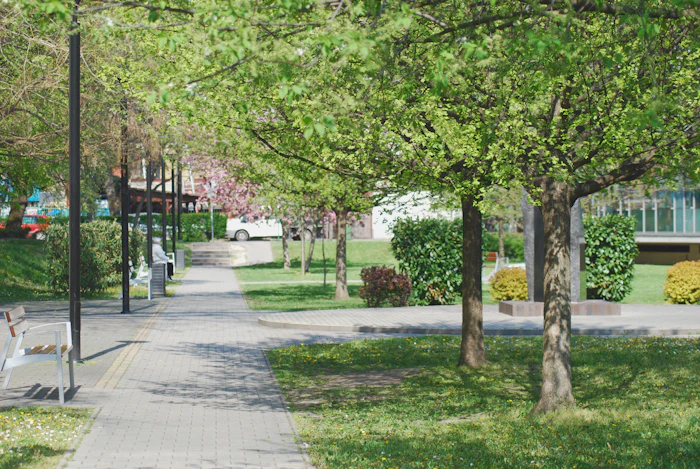 Walking Paths