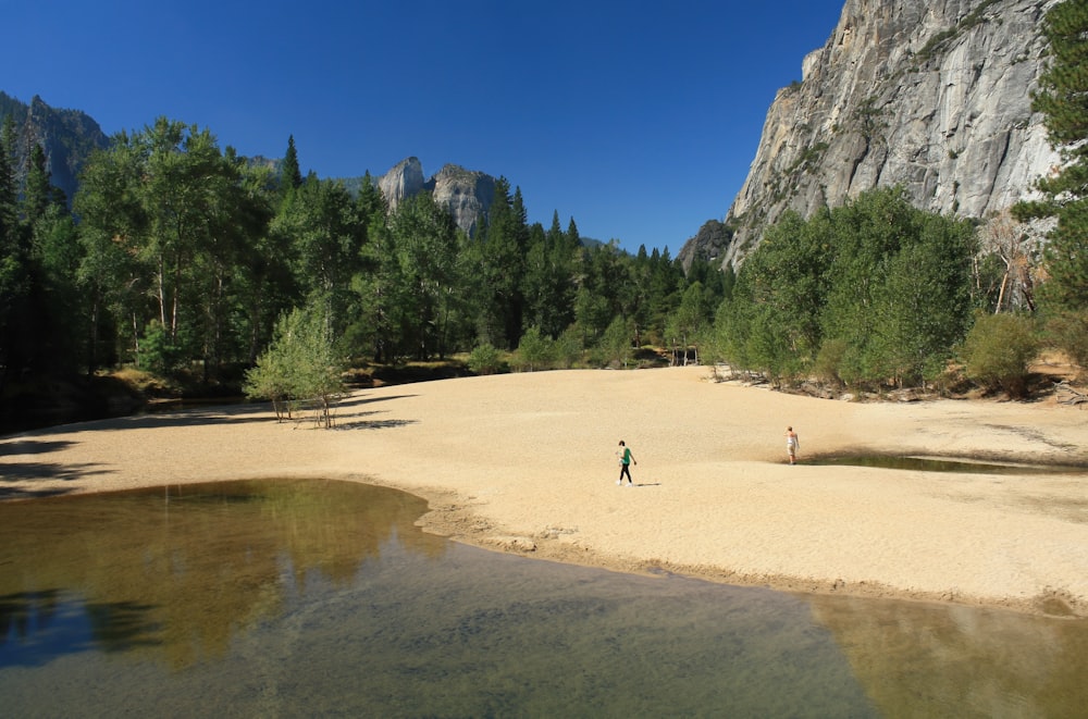 people walking on brown sand near green trees and mountain during daytime