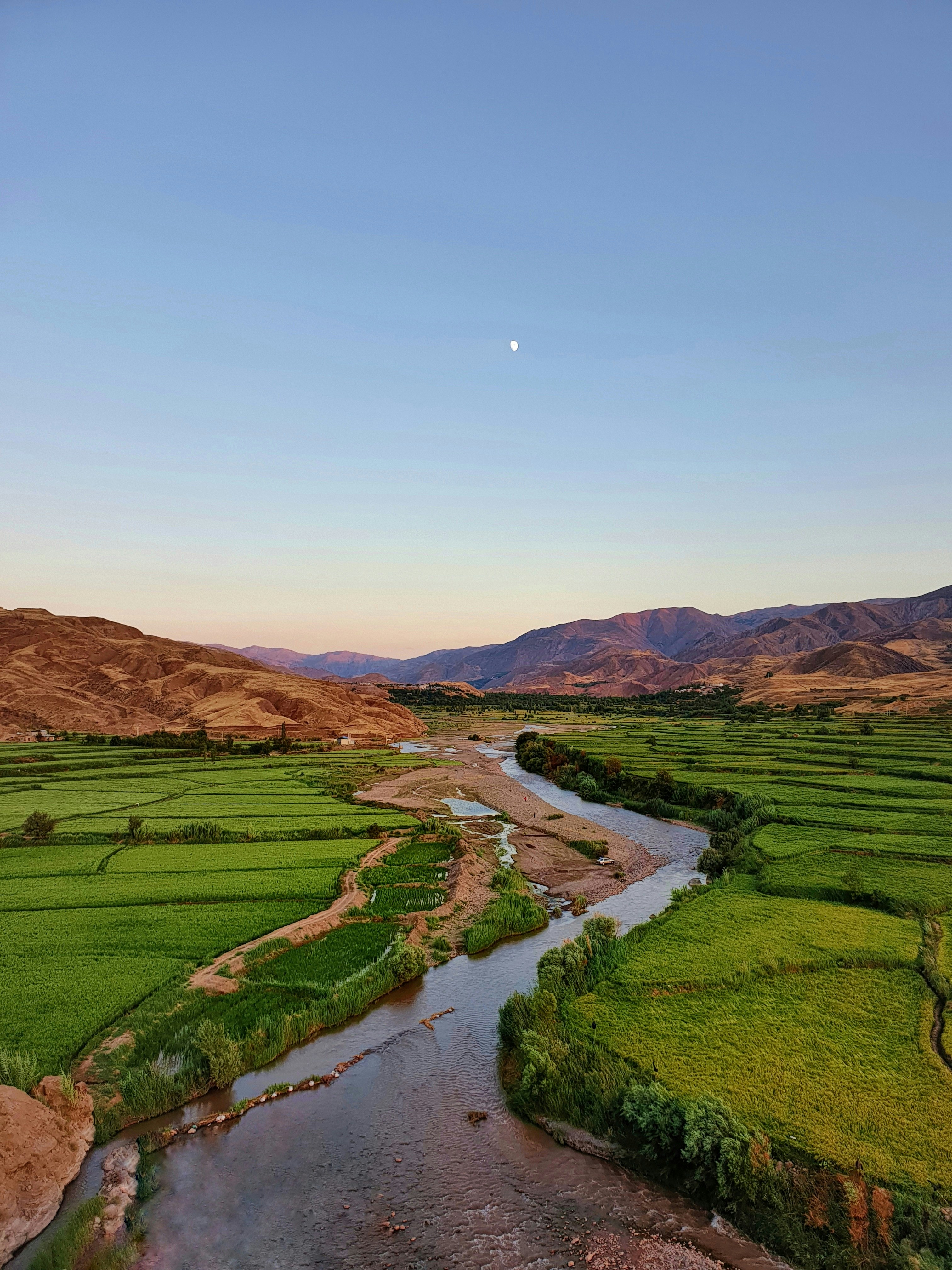 Photo by saeedsarshar