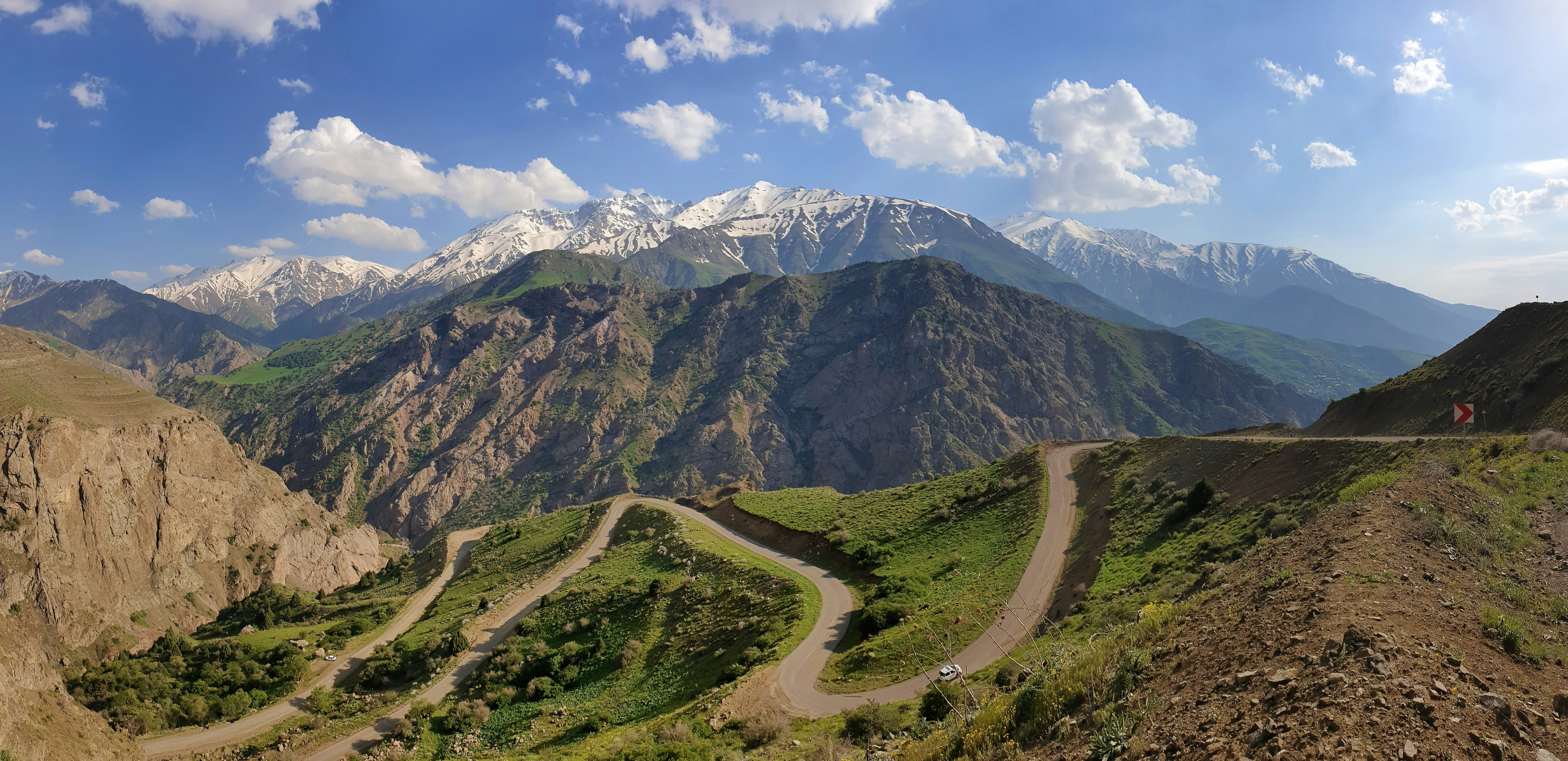 Photo by saeedsarshar