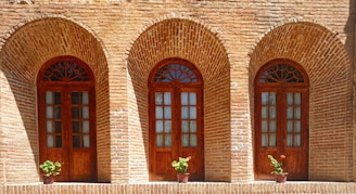 Three wooden doors with glass panels are set into an ornate brick wall, each framed by an archway. The wall's texture is accentuated by a warm sunlight. Beneath each door, small potted plants with green leaves and colorful flowers add a touch of nature.
