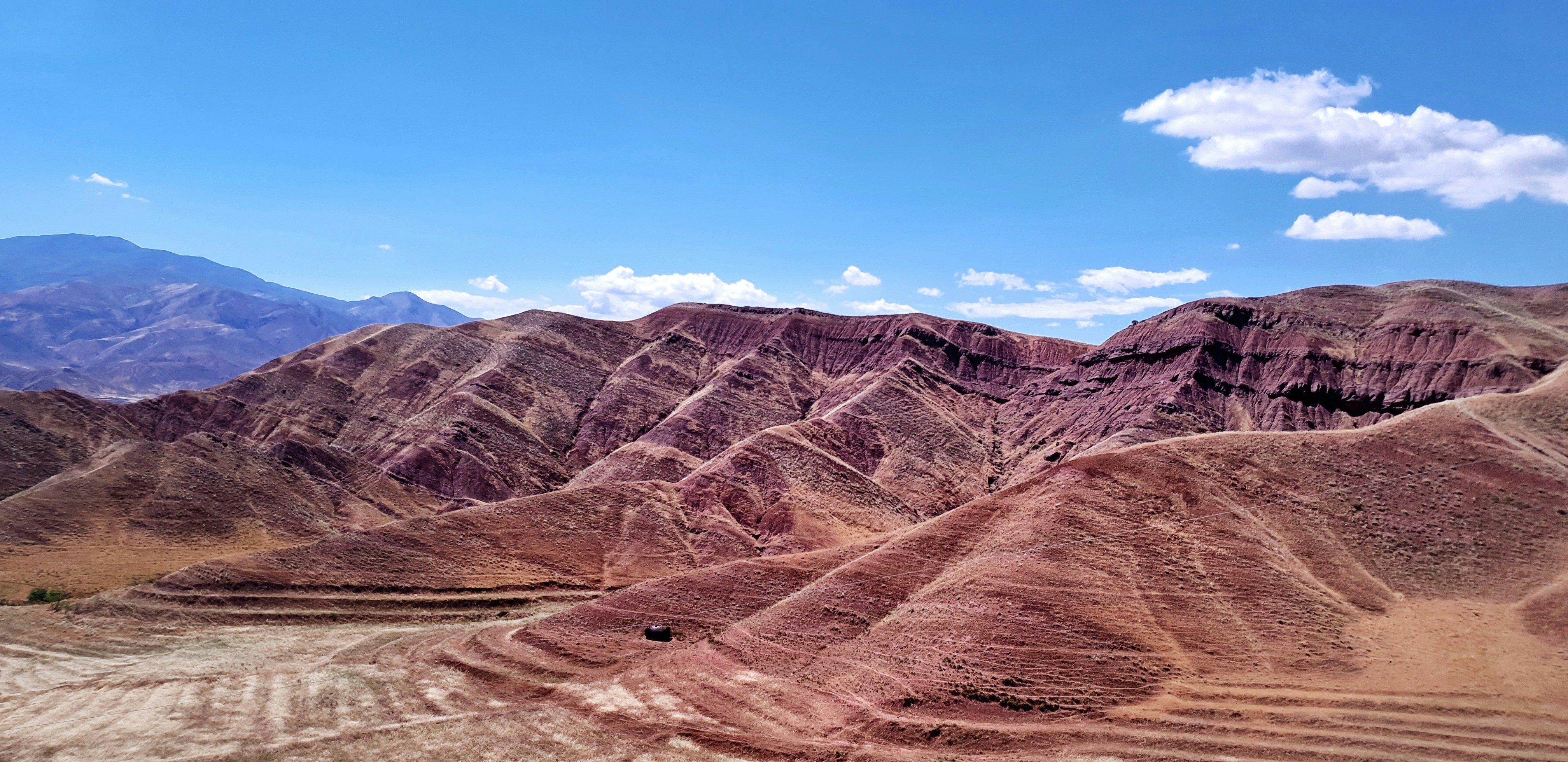 Photo by saeedsarshar