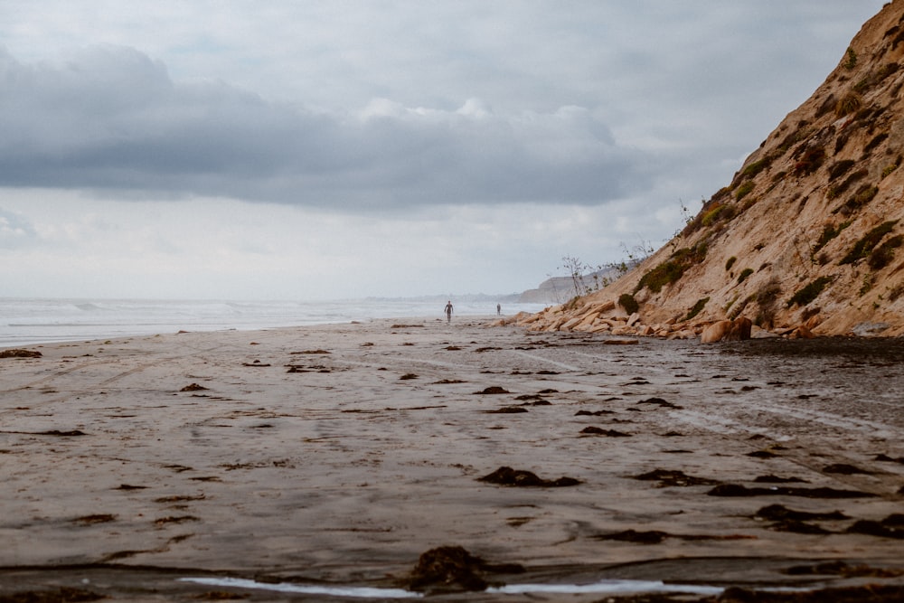 people on beach during daytime