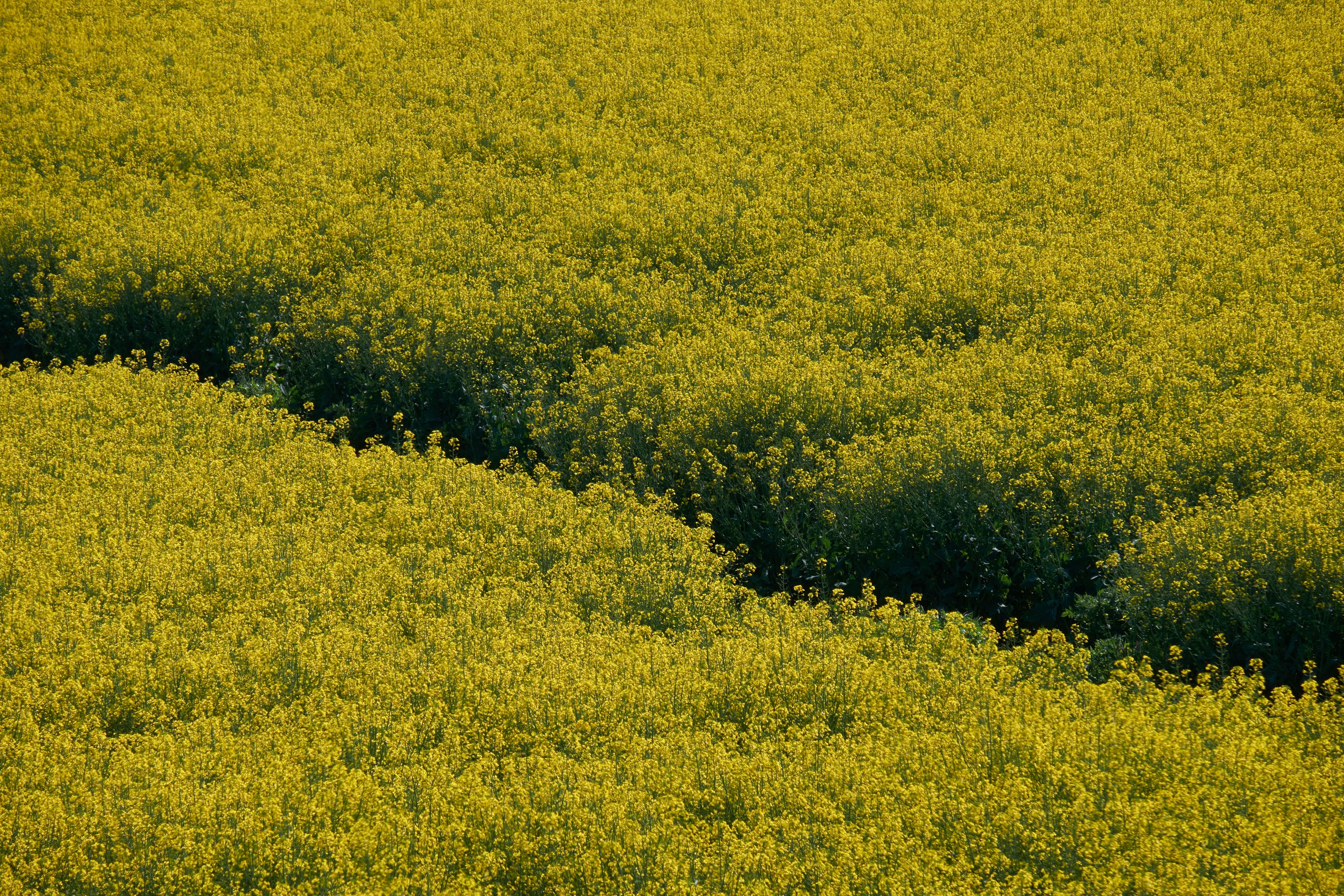 Photo by alessandroventuri