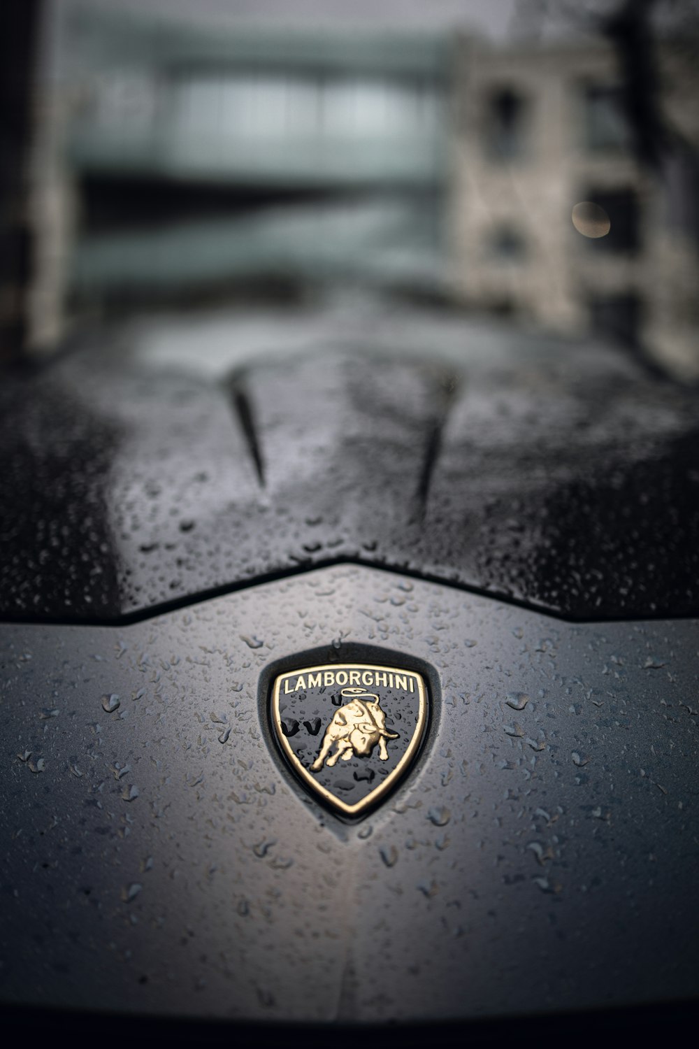 750+ Lamborghini Urus Pictures  Download Free Images on Unsplash