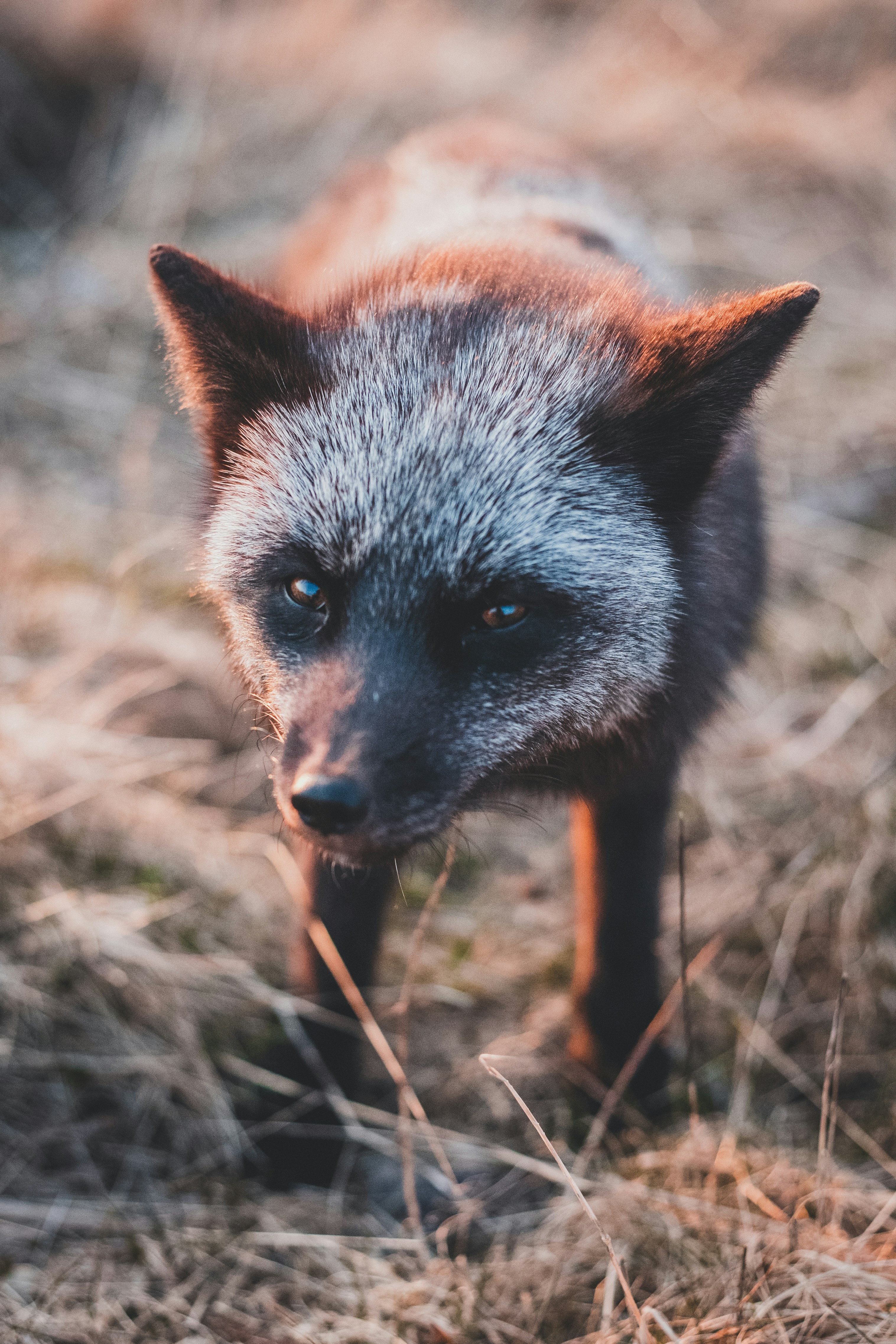 Photo by introspectivedsgn