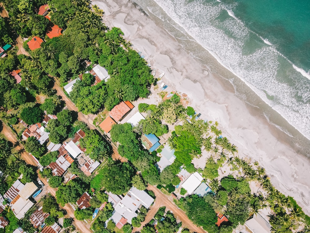 aerial view of houses near body of water during daytime